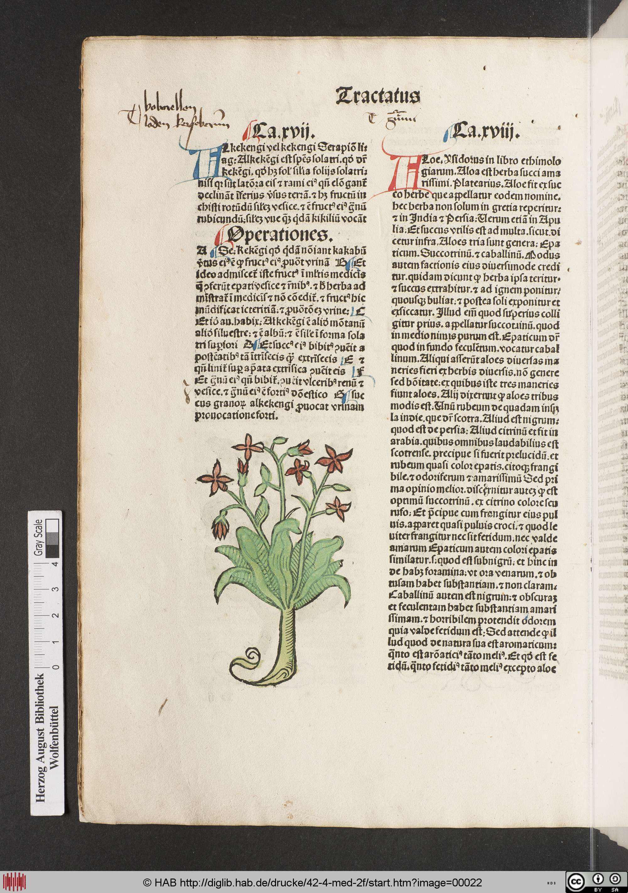 http://diglib.hab.de/drucke/42-4-med-2f/max/00022.jpg