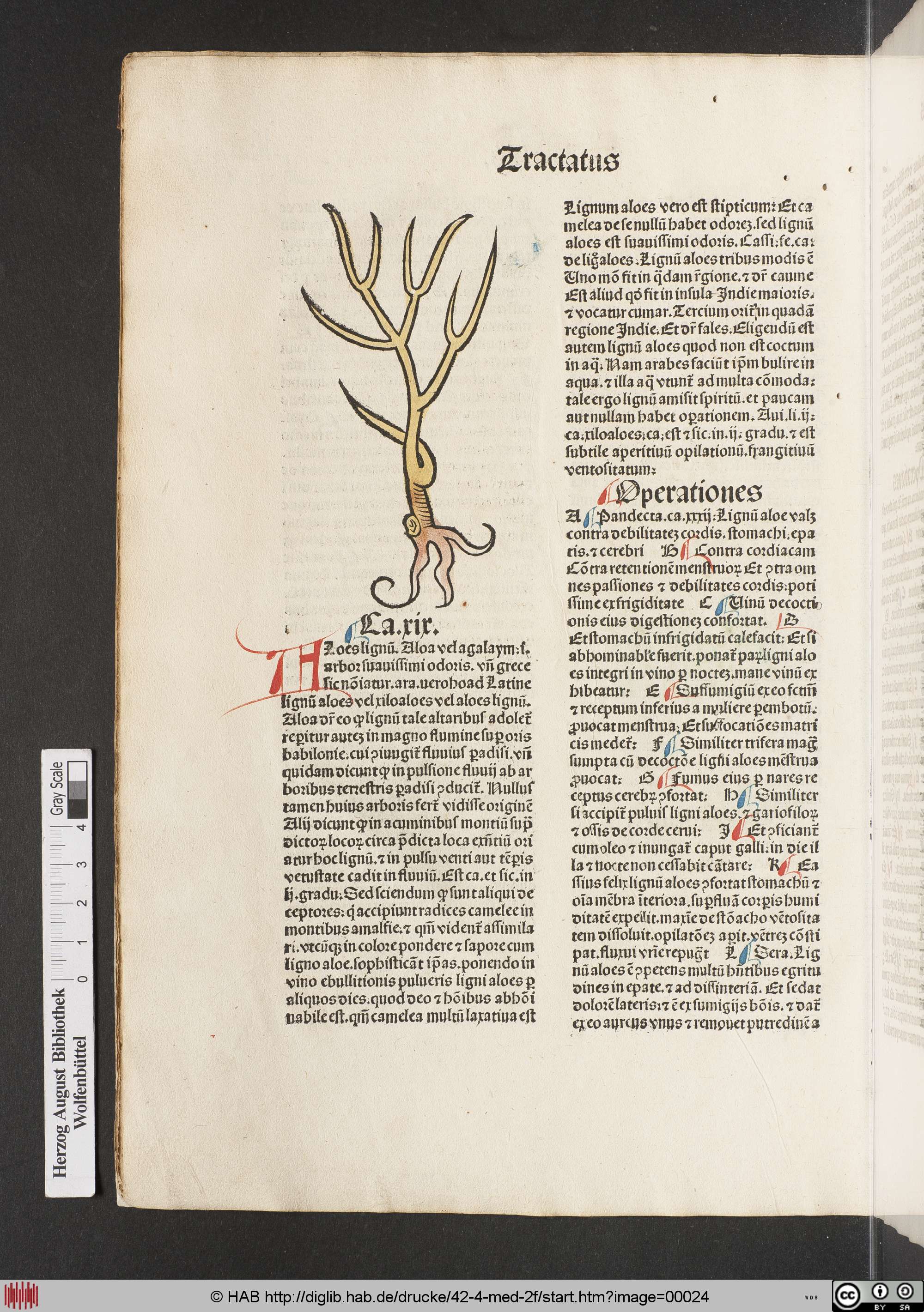 http://diglib.hab.de/drucke/42-4-med-2f/max/00024.jpg