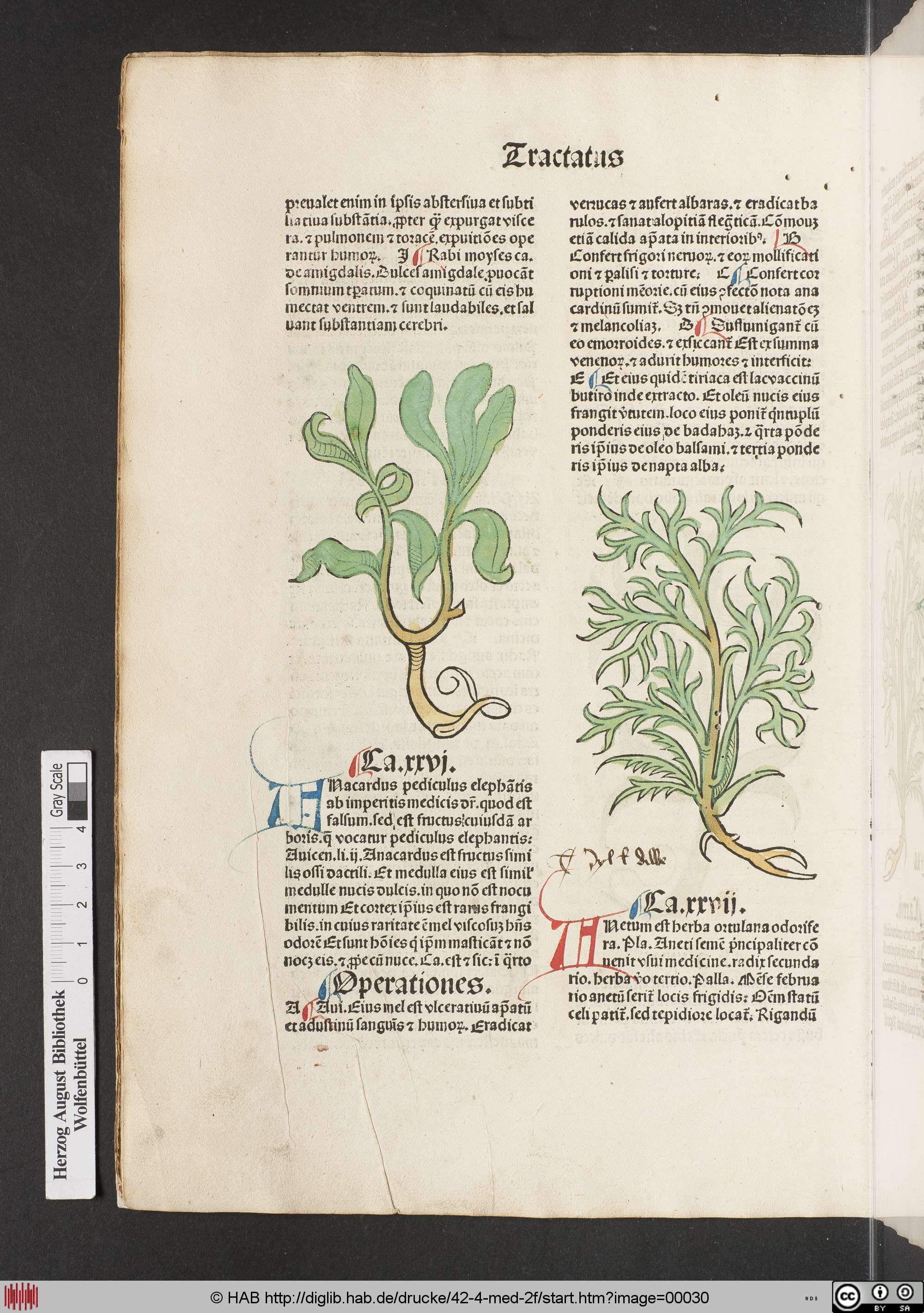 http://diglib.hab.de/drucke/42-4-med-2f/max/00030.jpg