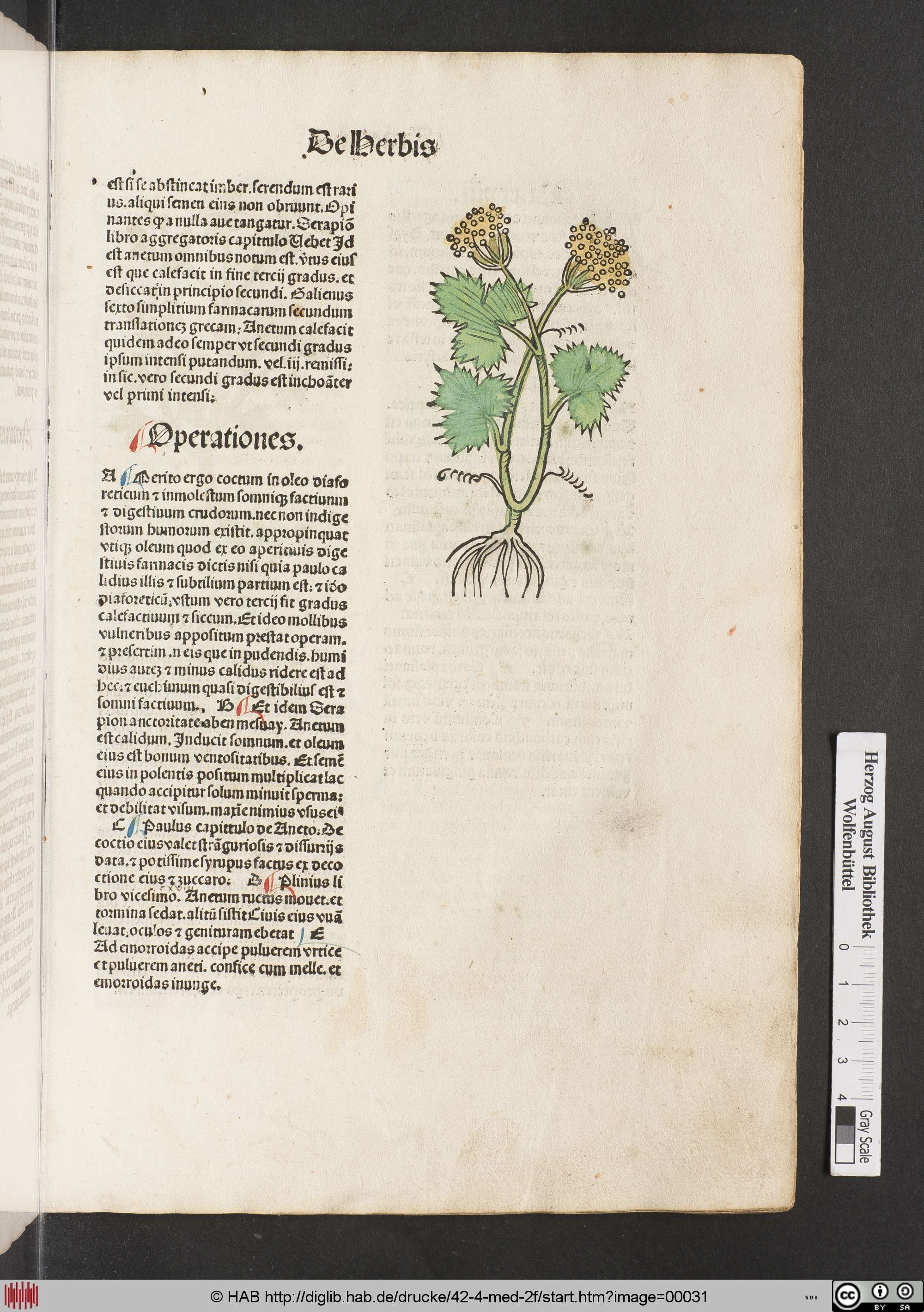 http://diglib.hab.de/drucke/42-4-med-2f/max/00031.jpg