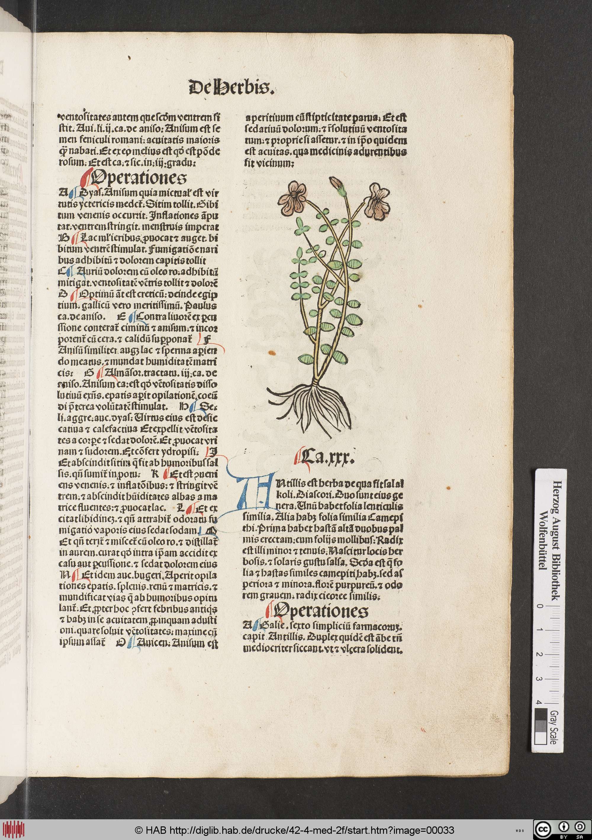 http://diglib.hab.de/drucke/42-4-med-2f/max/00033.jpg