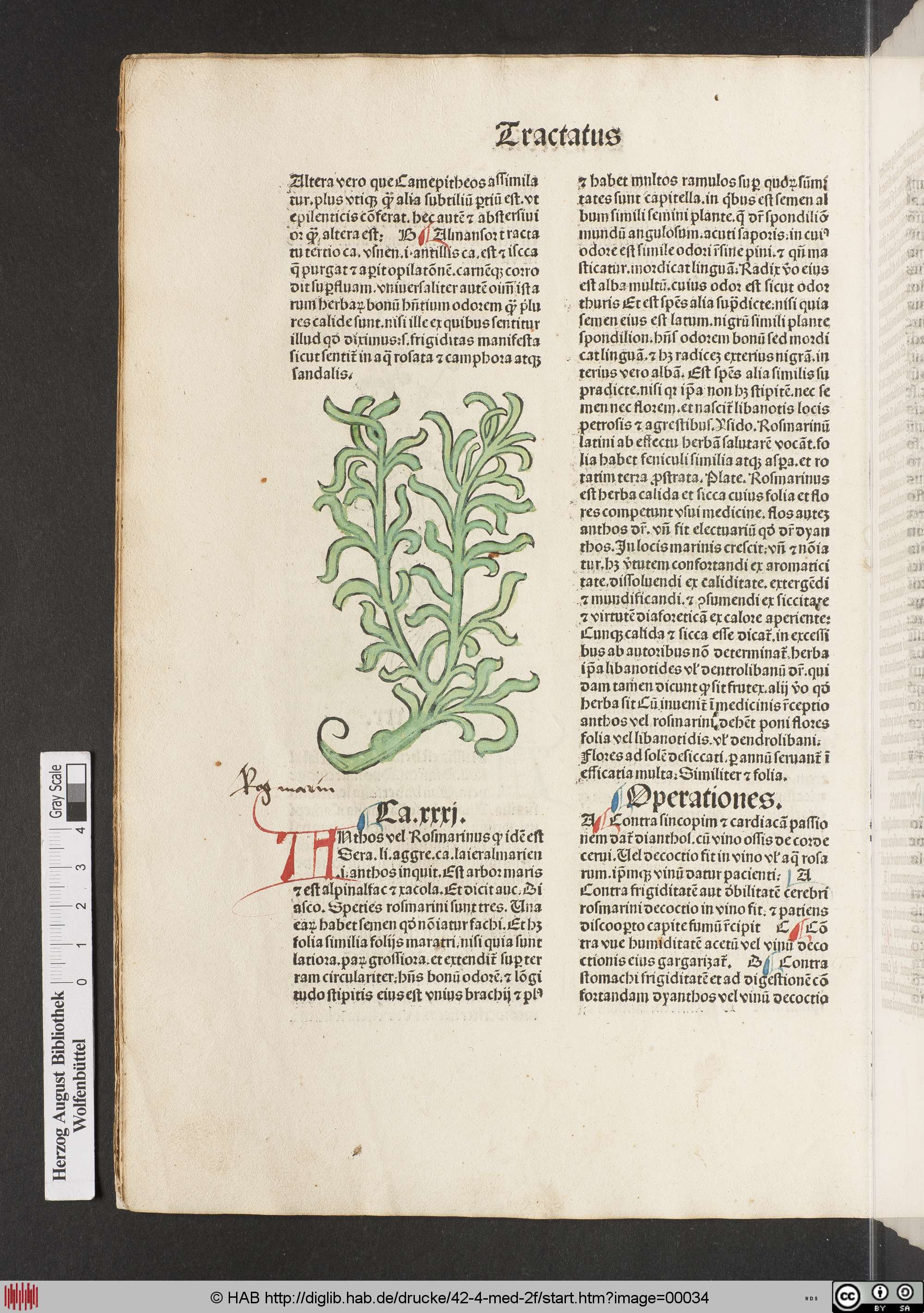 http://diglib.hab.de/drucke/42-4-med-2f/max/00034.jpg
