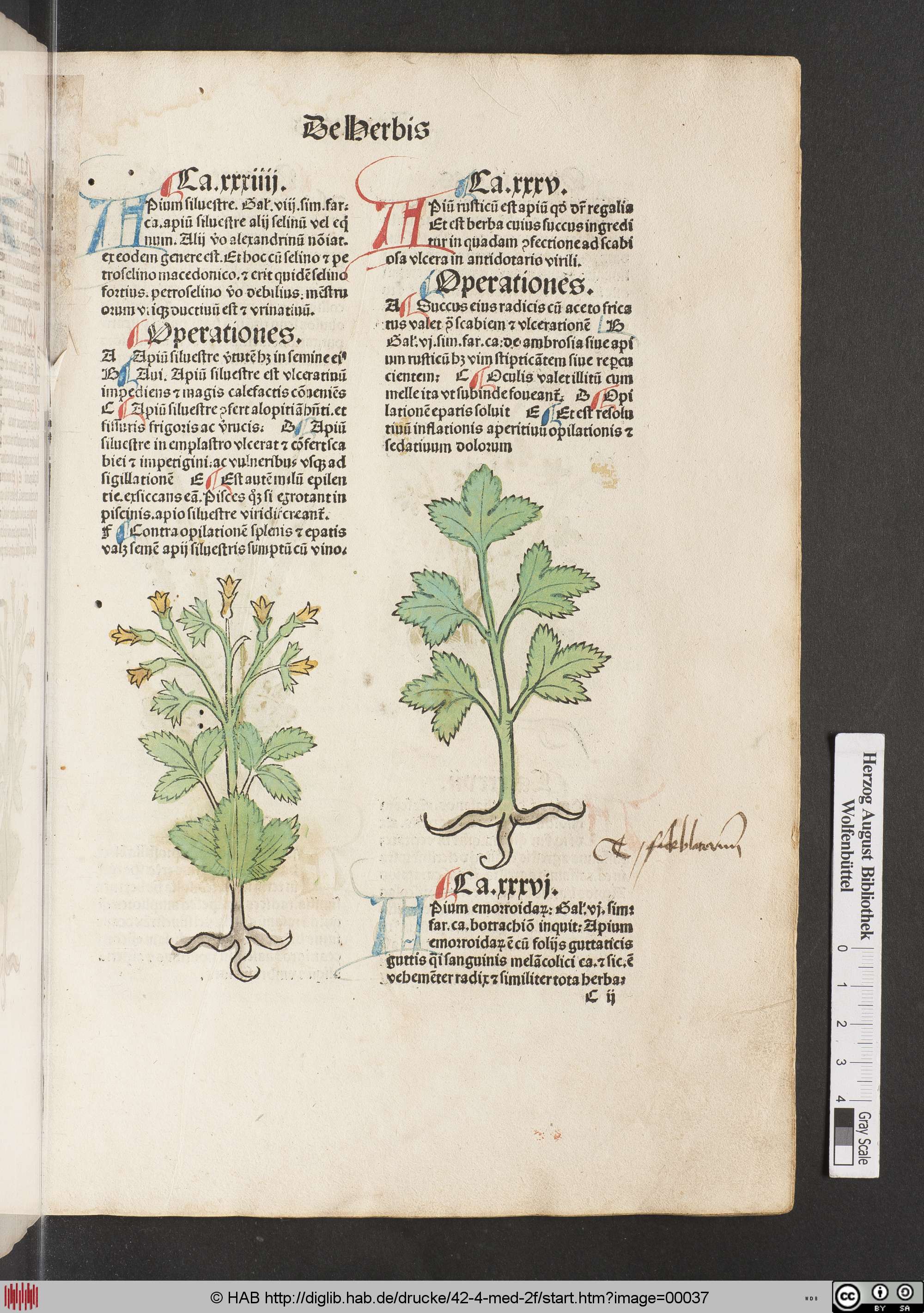 http://diglib.hab.de/drucke/42-4-med-2f/max/00037.jpg