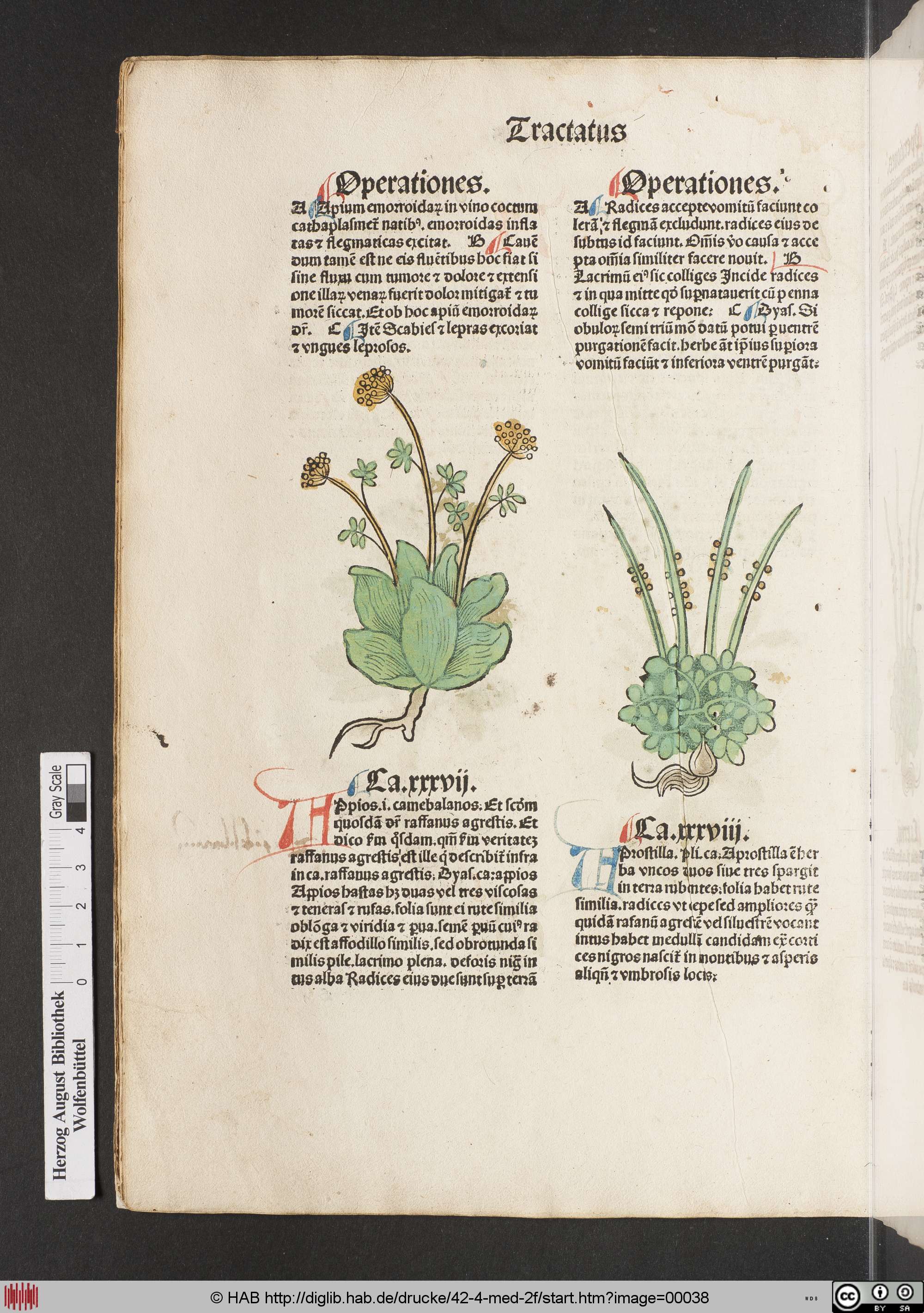 http://diglib.hab.de/drucke/42-4-med-2f/max/00038.jpg