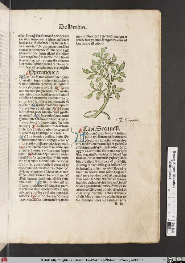 http://diglib.hab.de/drucke/42-4-med-2f/min/00007.jpg