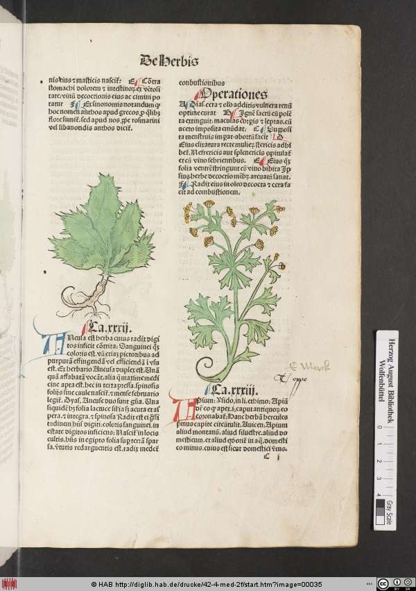 http://diglib.hab.de/drucke/42-4-med-2f/min/00035.jpg