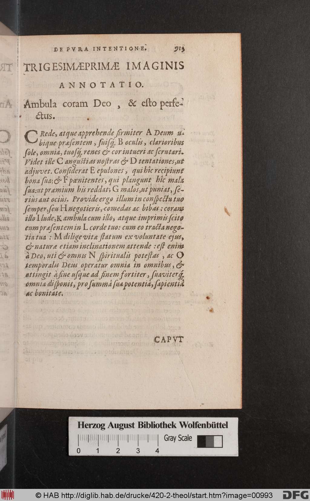 http://diglib.hab.de/drucke/420-2-theol/00993.jpg