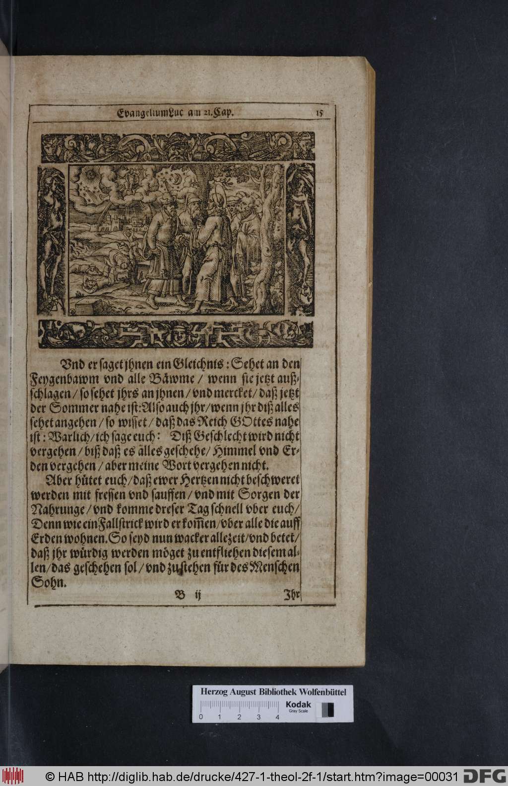 http://diglib.hab.de/drucke/427-1-theol-2f-1/00031.jpg