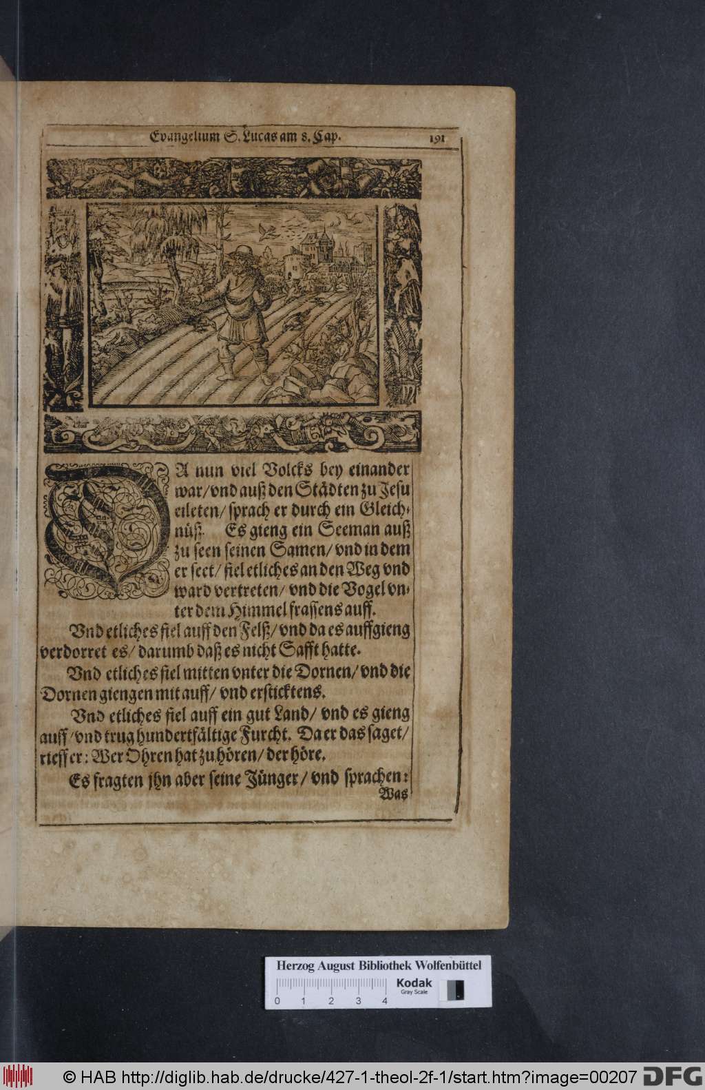 http://diglib.hab.de/drucke/427-1-theol-2f-1/00207.jpg
