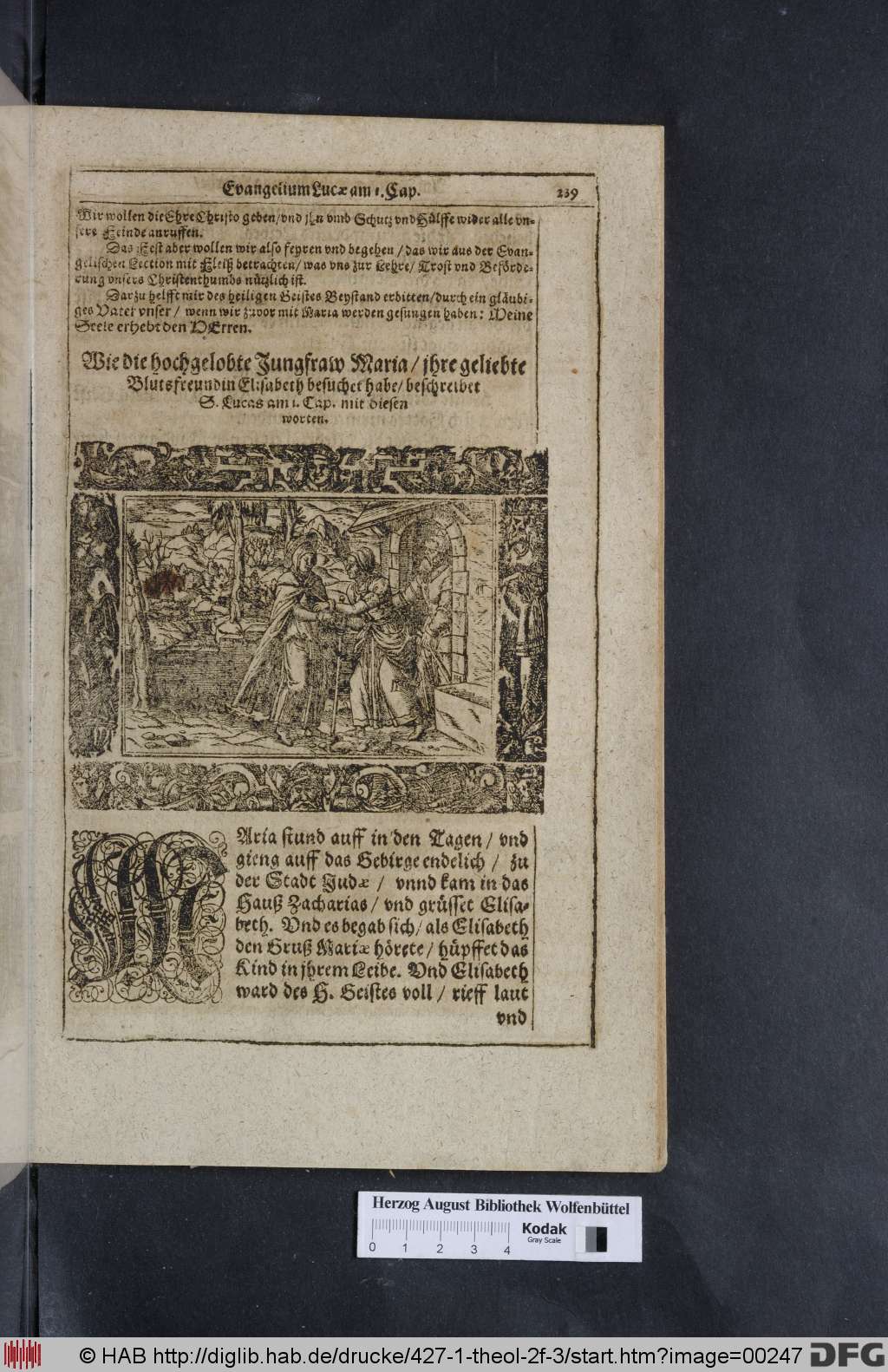 http://diglib.hab.de/drucke/427-1-theol-2f-3/00247.jpg