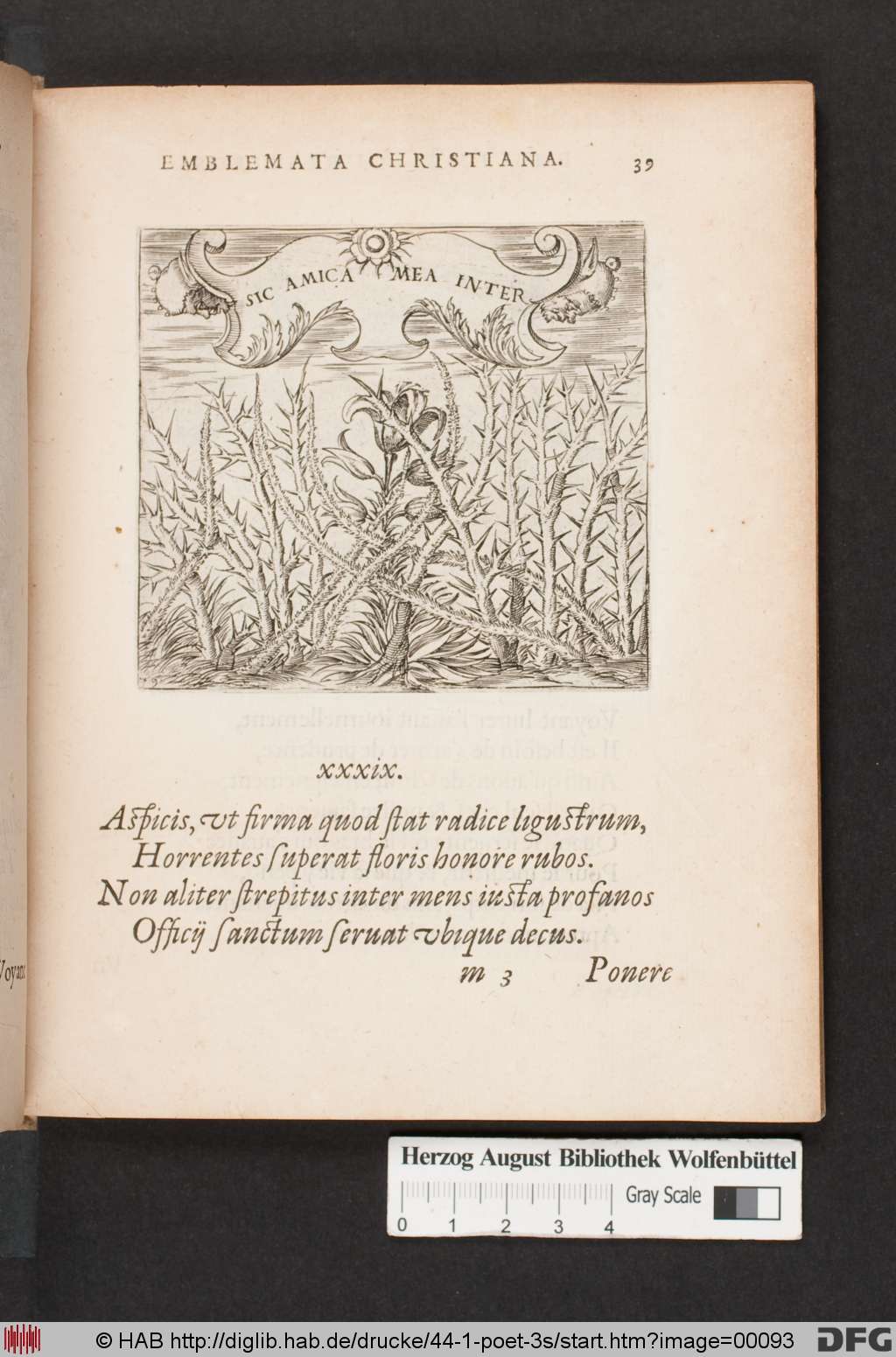 http://diglib.hab.de/drucke/44-1-poet-3s/00093.jpg