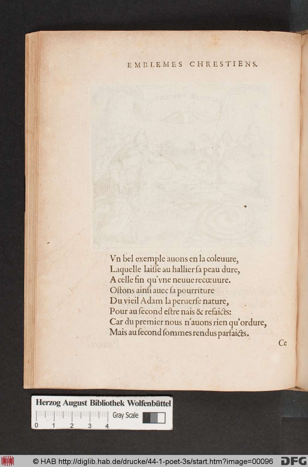 http://diglib.hab.de/drucke/44-1-poet-3s/00096.jpg