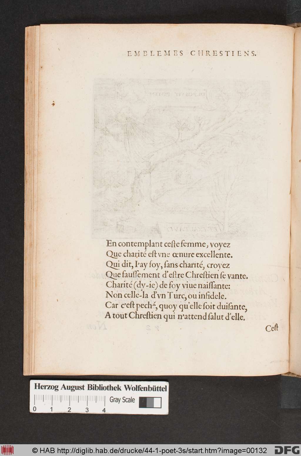 http://diglib.hab.de/drucke/44-1-poet-3s/00132.jpg