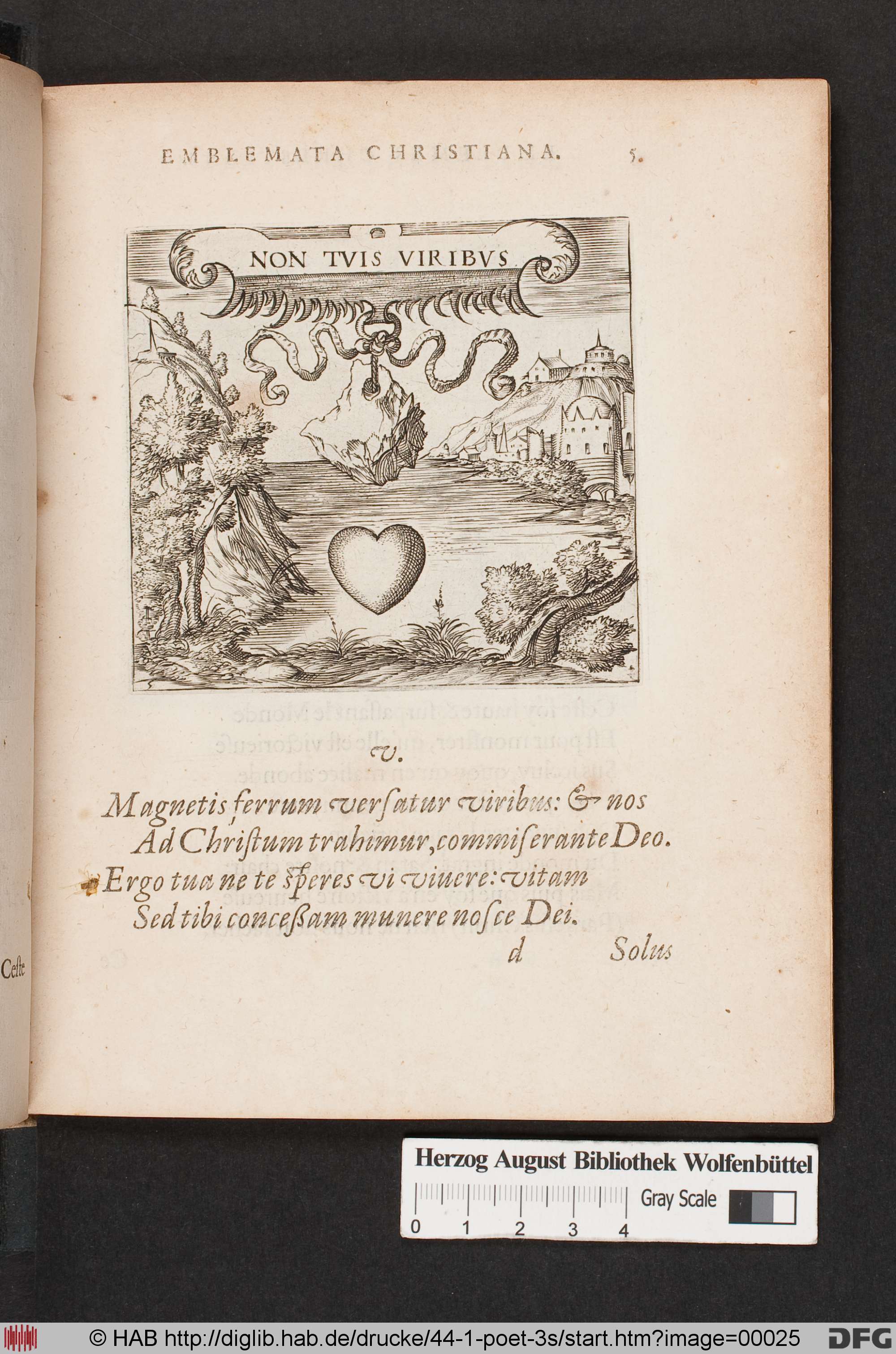 http://diglib.hab.de/drucke/44-1-poet-3s/max/00025.jpg