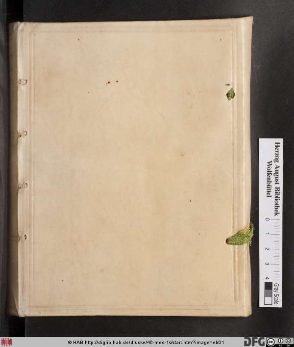 http://diglib.hab.de/drucke/46-med-1s/min/eb01.jpg