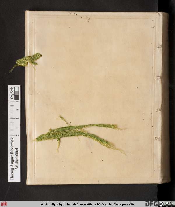 http://diglib.hab.de/drucke/46-med-1s/min/eb04.jpg
