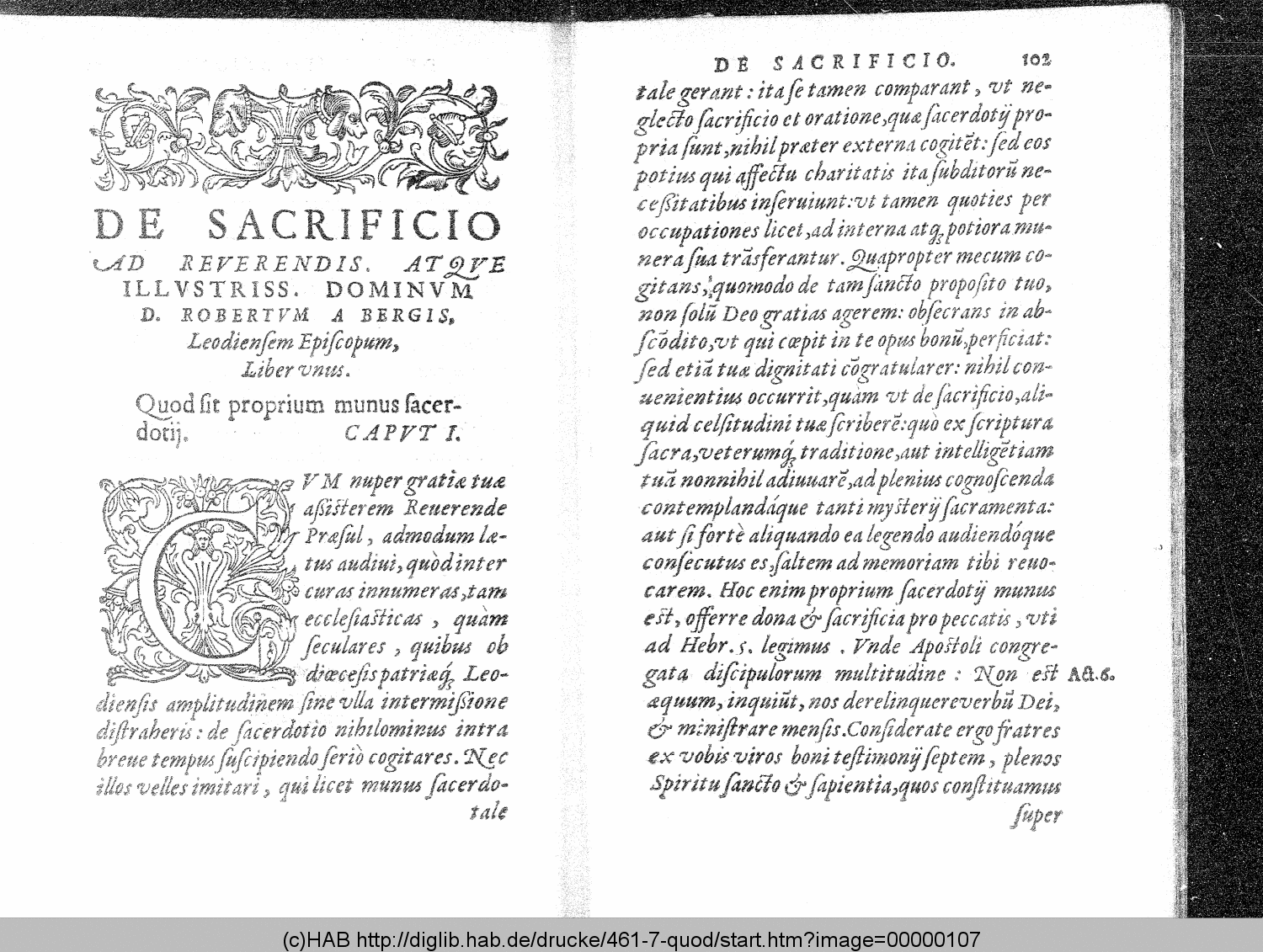 http://diglib.hab.de/drucke/461-7-quod/00000107.gif