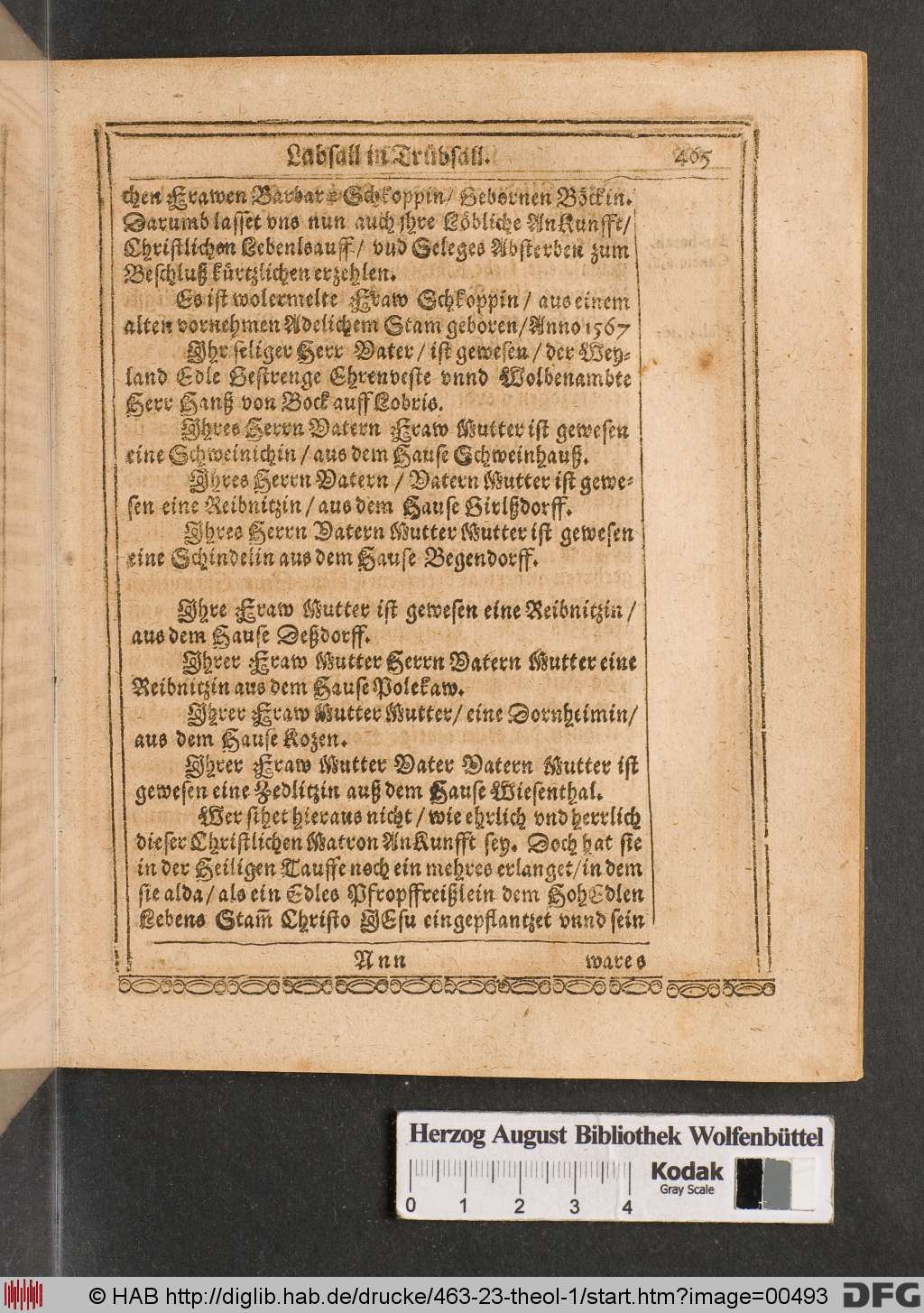 http://diglib.hab.de/drucke/463-23-theol-1/00493.jpg
