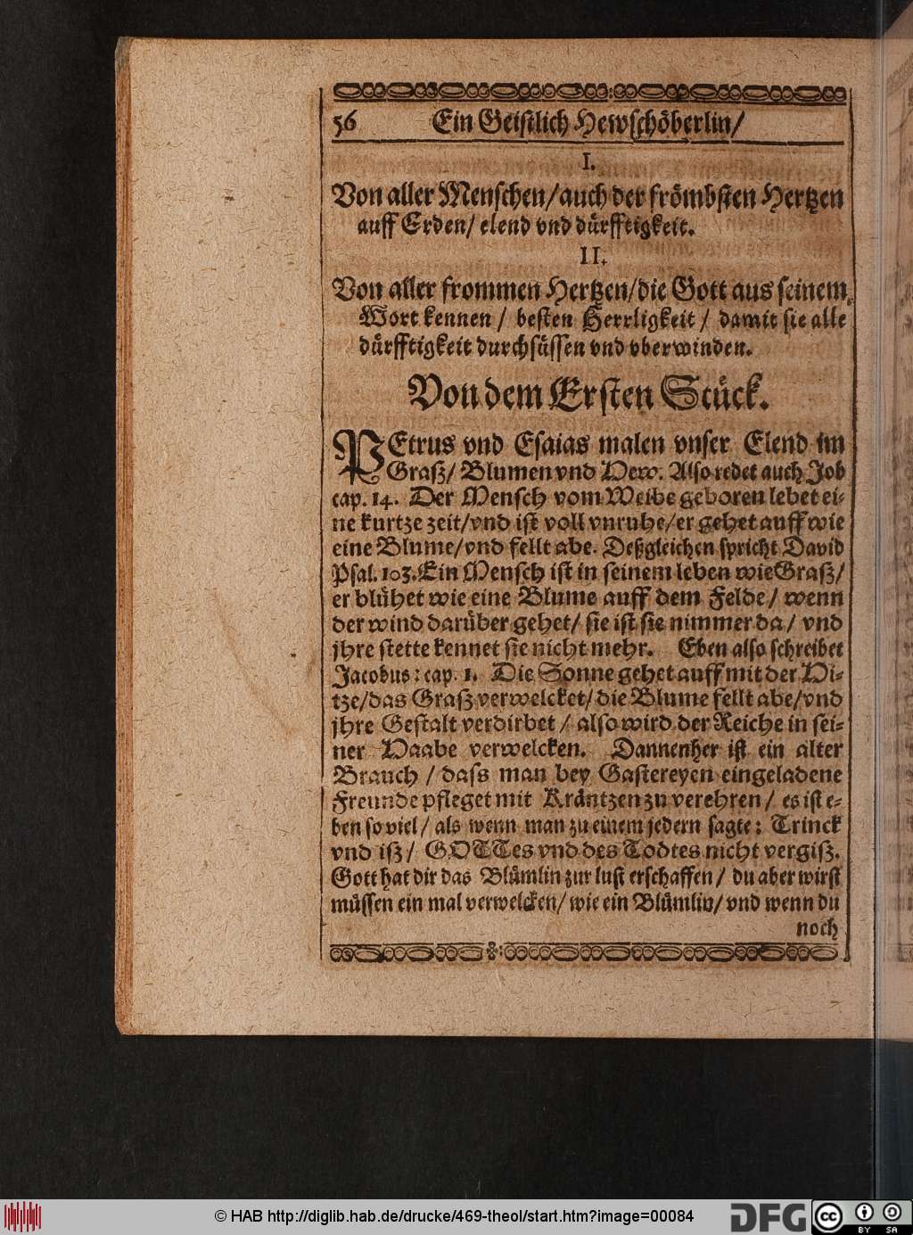 http://diglib.hab.de/drucke/469-theol/00084.jpg