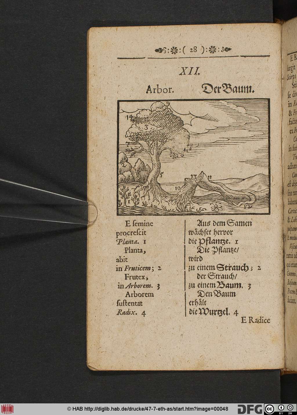 http://diglib.hab.de/drucke/47-7-eth-as/00048.jpg