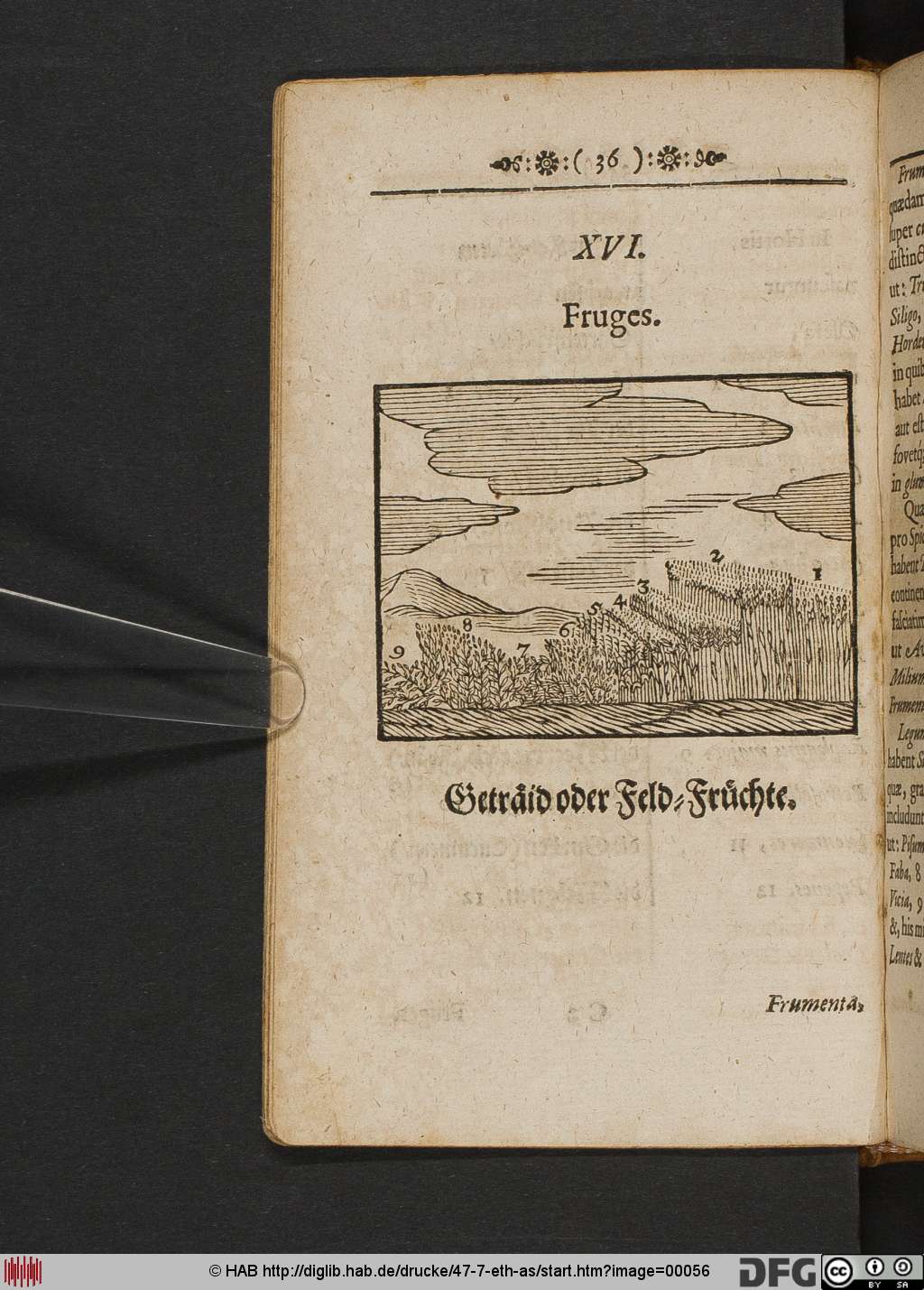 http://diglib.hab.de/drucke/47-7-eth-as/00056.jpg