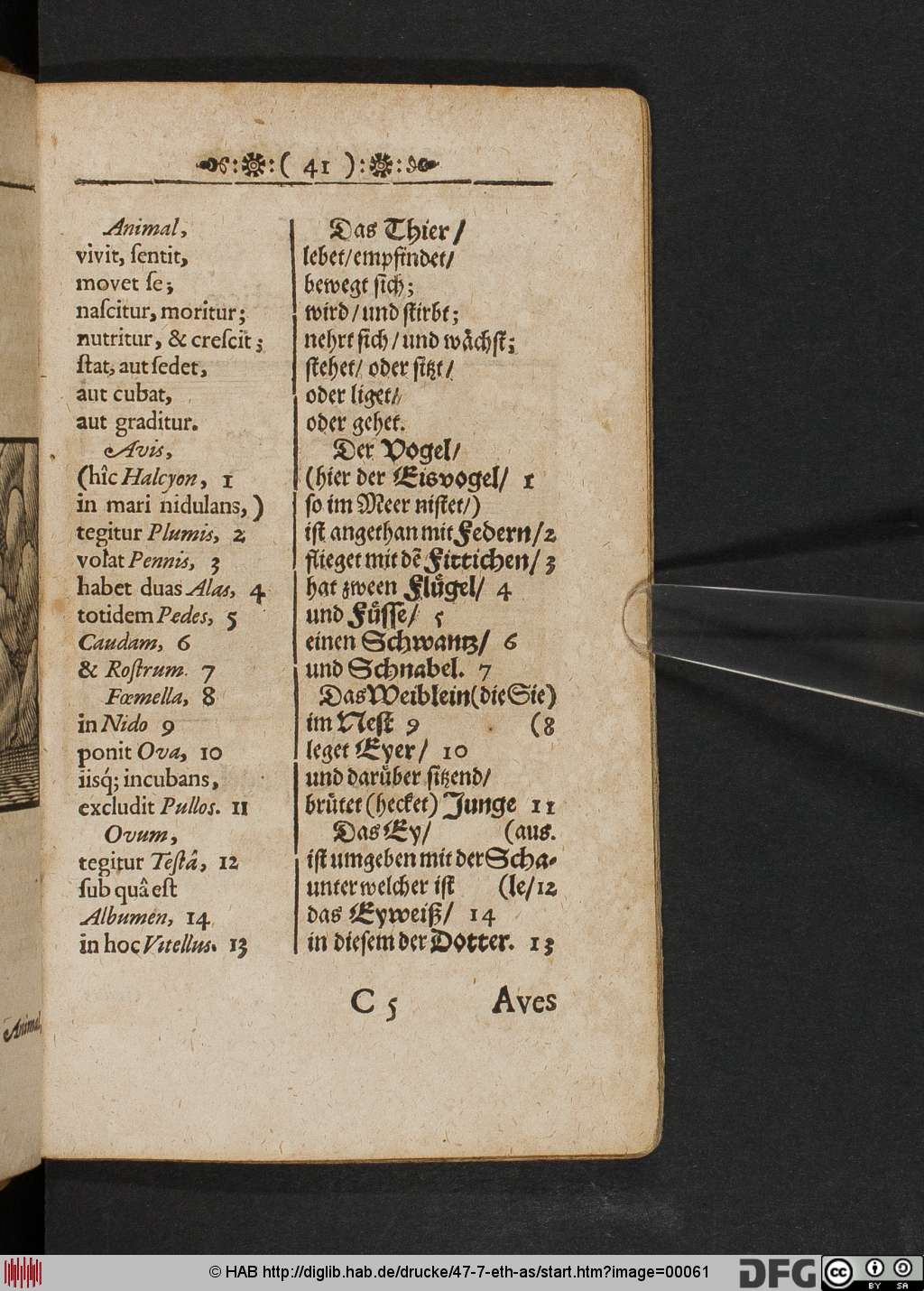 http://diglib.hab.de/drucke/47-7-eth-as/00061.jpg