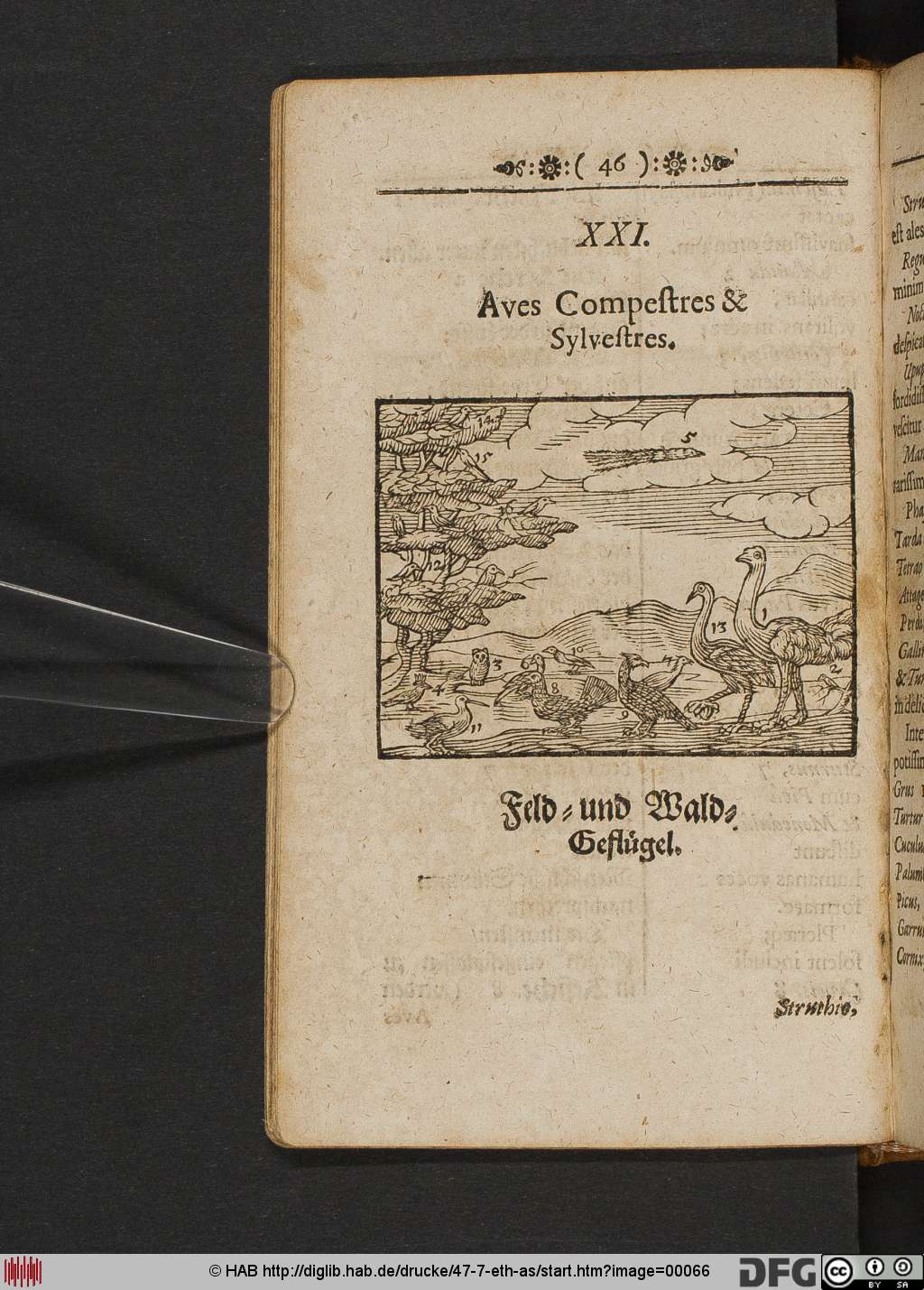 http://diglib.hab.de/drucke/47-7-eth-as/00066.jpg