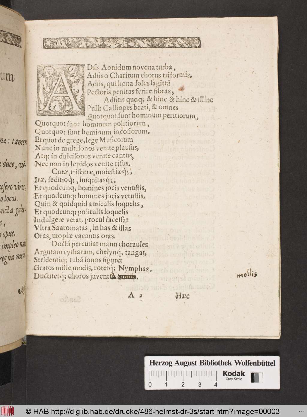 http://diglib.hab.de/drucke/486-helmst-dr-3s/00003.jpg