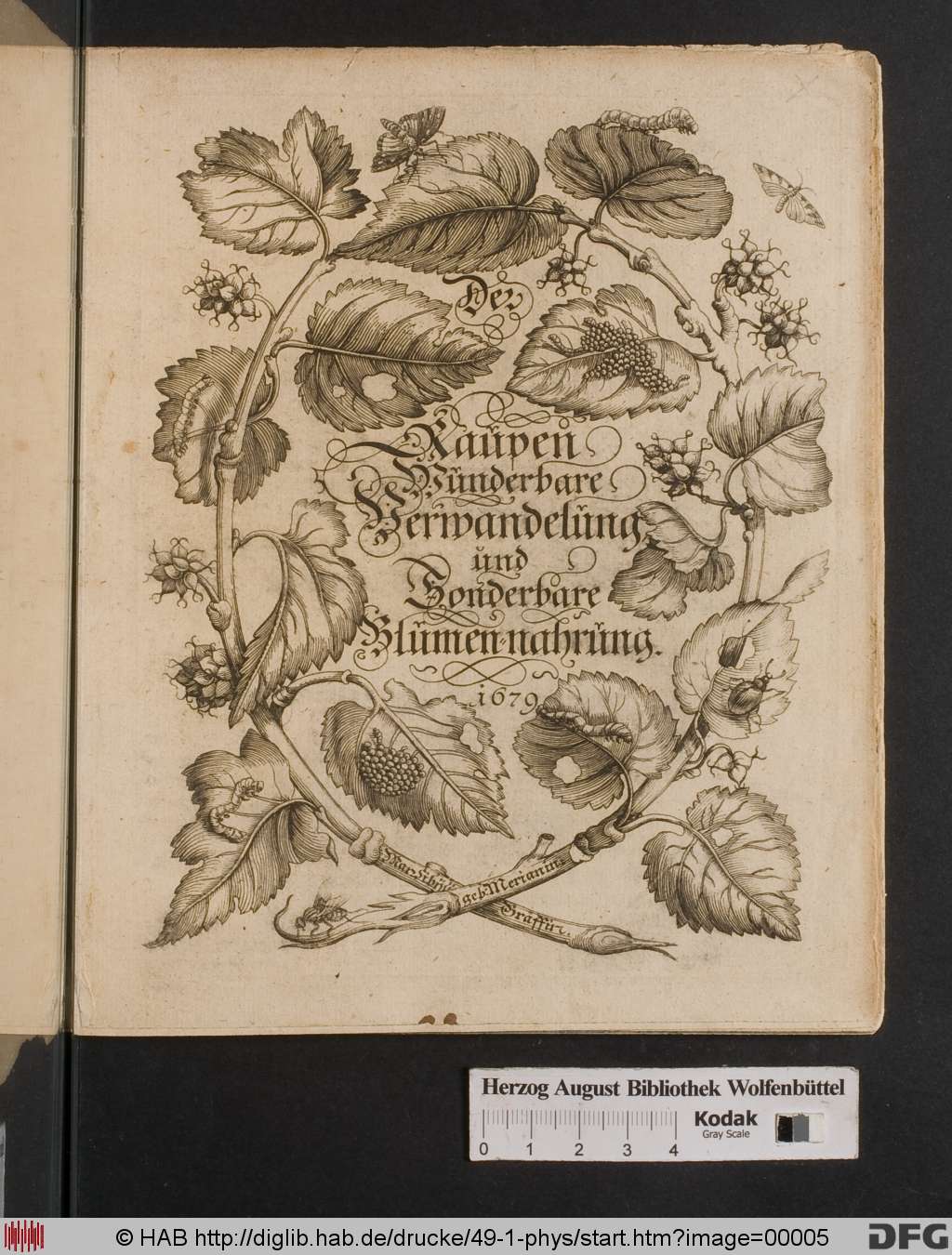 http://diglib.hab.de/drucke/49-1-phys/00005.jpg