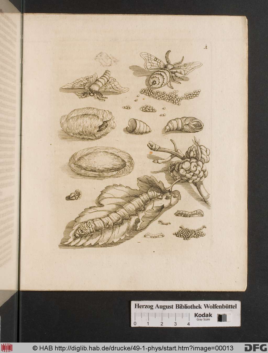 http://diglib.hab.de/drucke/49-1-phys/00013.jpg