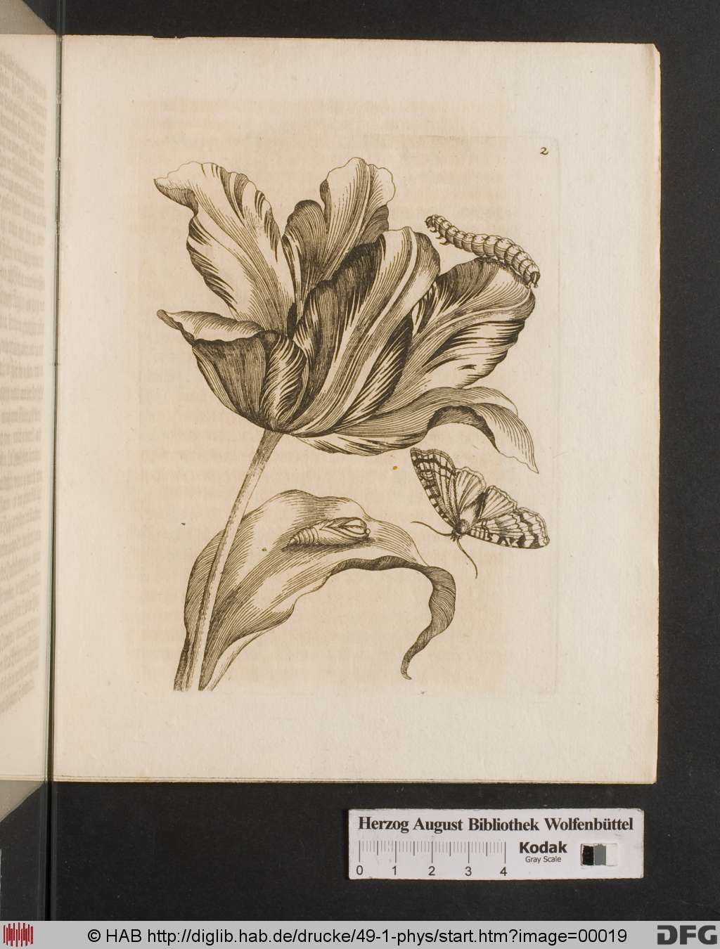 http://diglib.hab.de/drucke/49-1-phys/00019.jpg