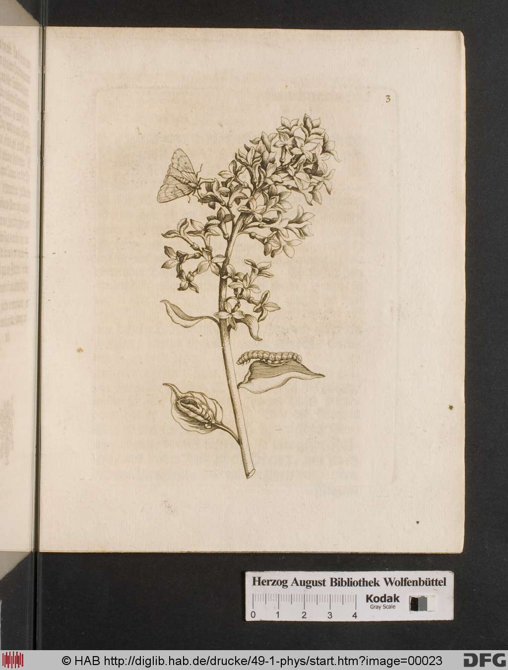 http://diglib.hab.de/drucke/49-1-phys/00023.jpg