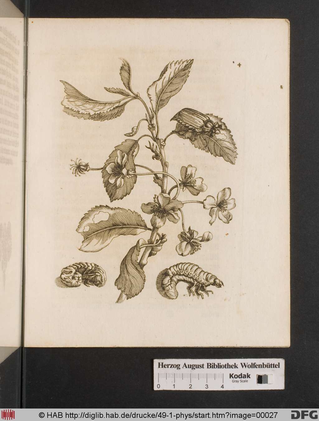 http://diglib.hab.de/drucke/49-1-phys/00027.jpg