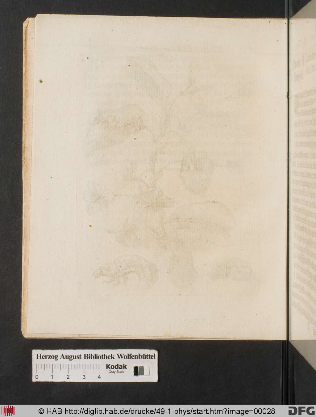 http://diglib.hab.de/drucke/49-1-phys/00028.jpg