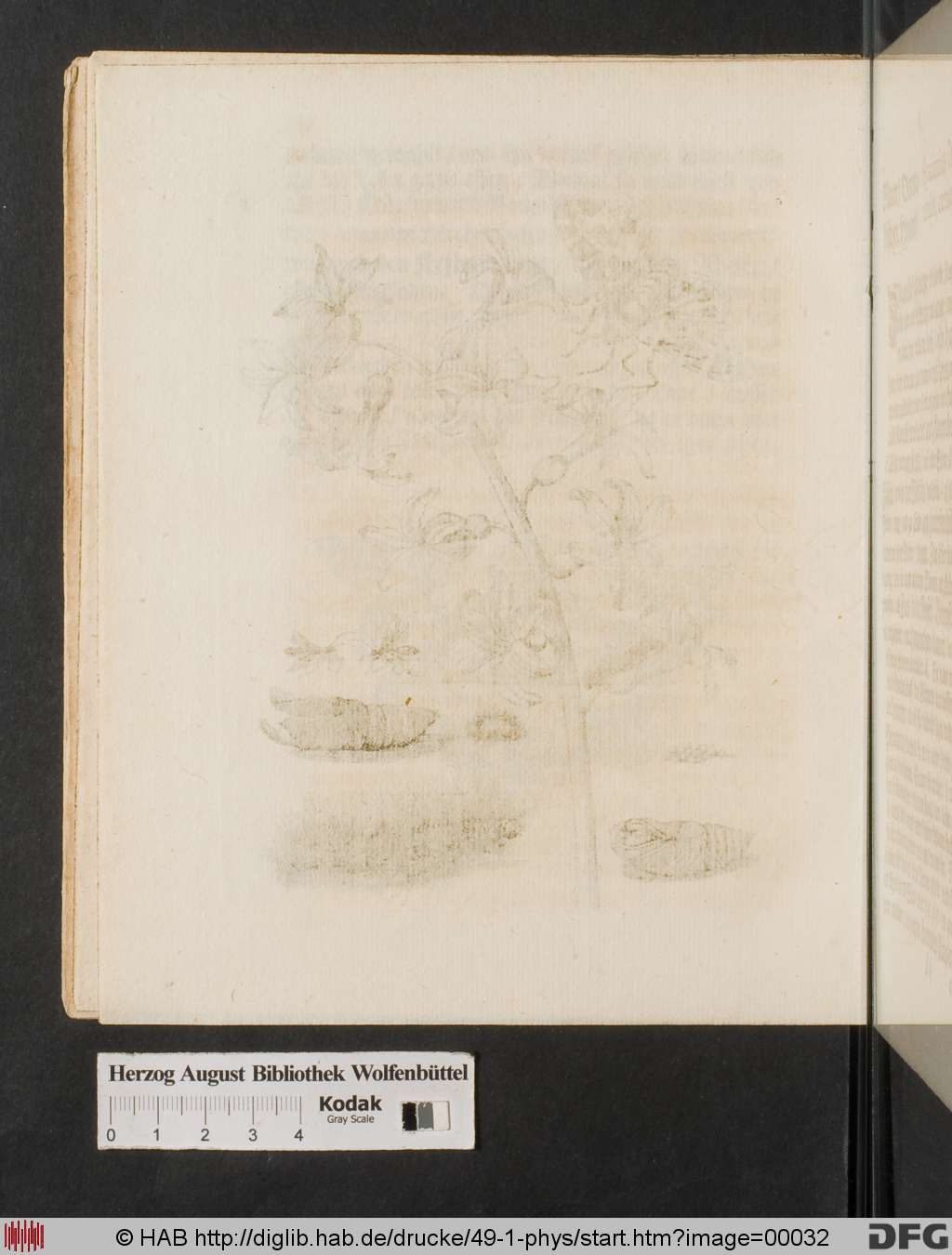 http://diglib.hab.de/drucke/49-1-phys/00032.jpg