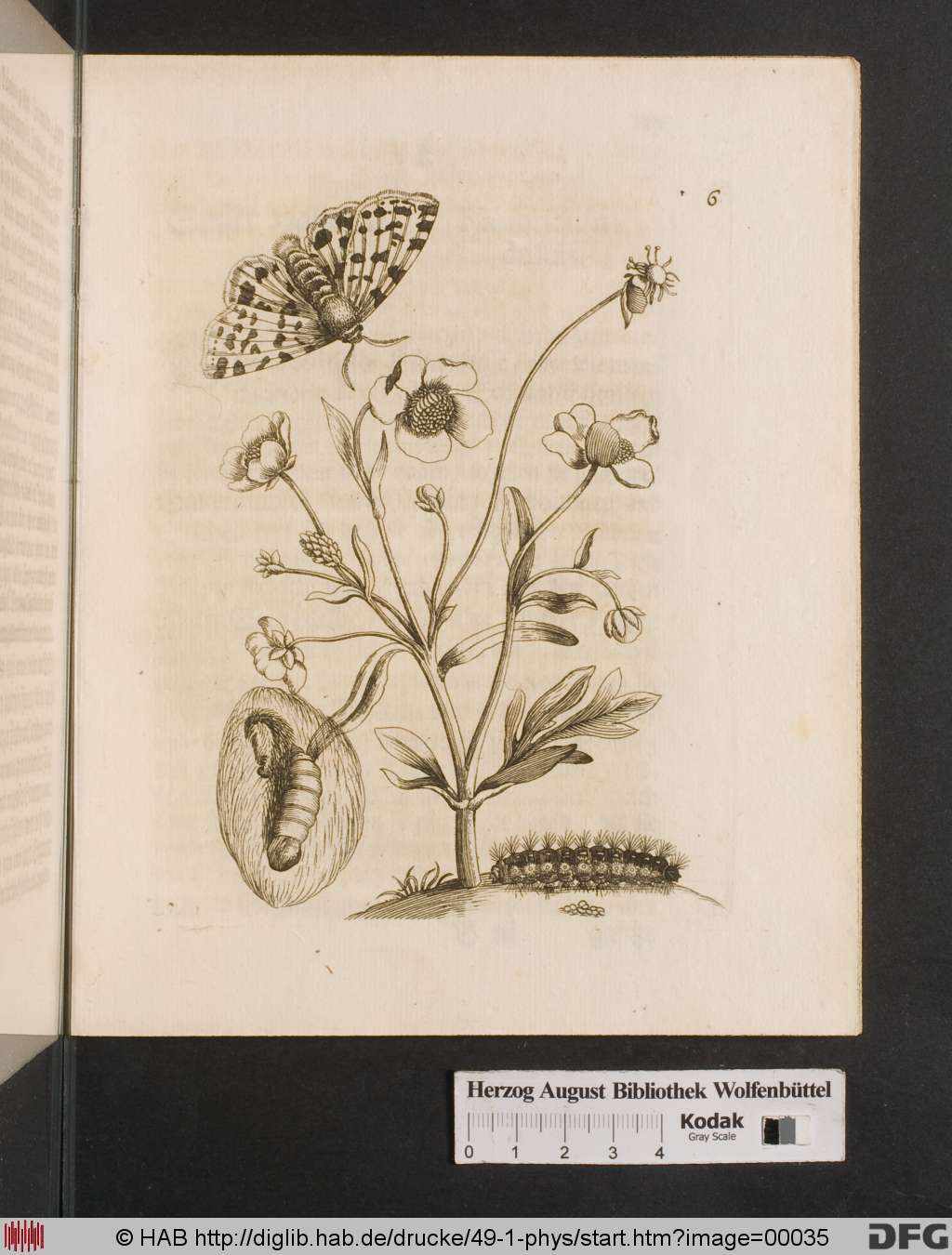 http://diglib.hab.de/drucke/49-1-phys/00035.jpg