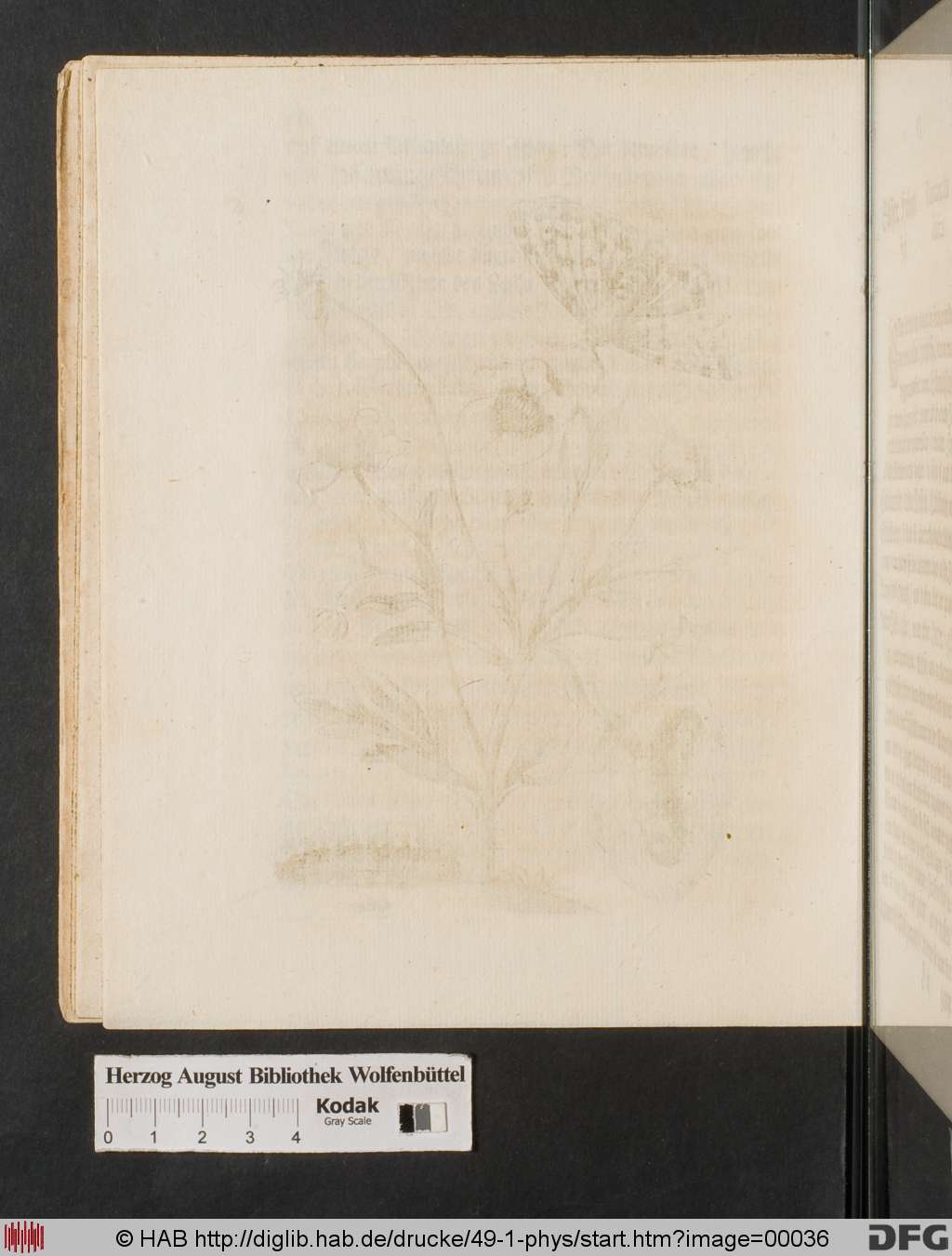 http://diglib.hab.de/drucke/49-1-phys/00036.jpg