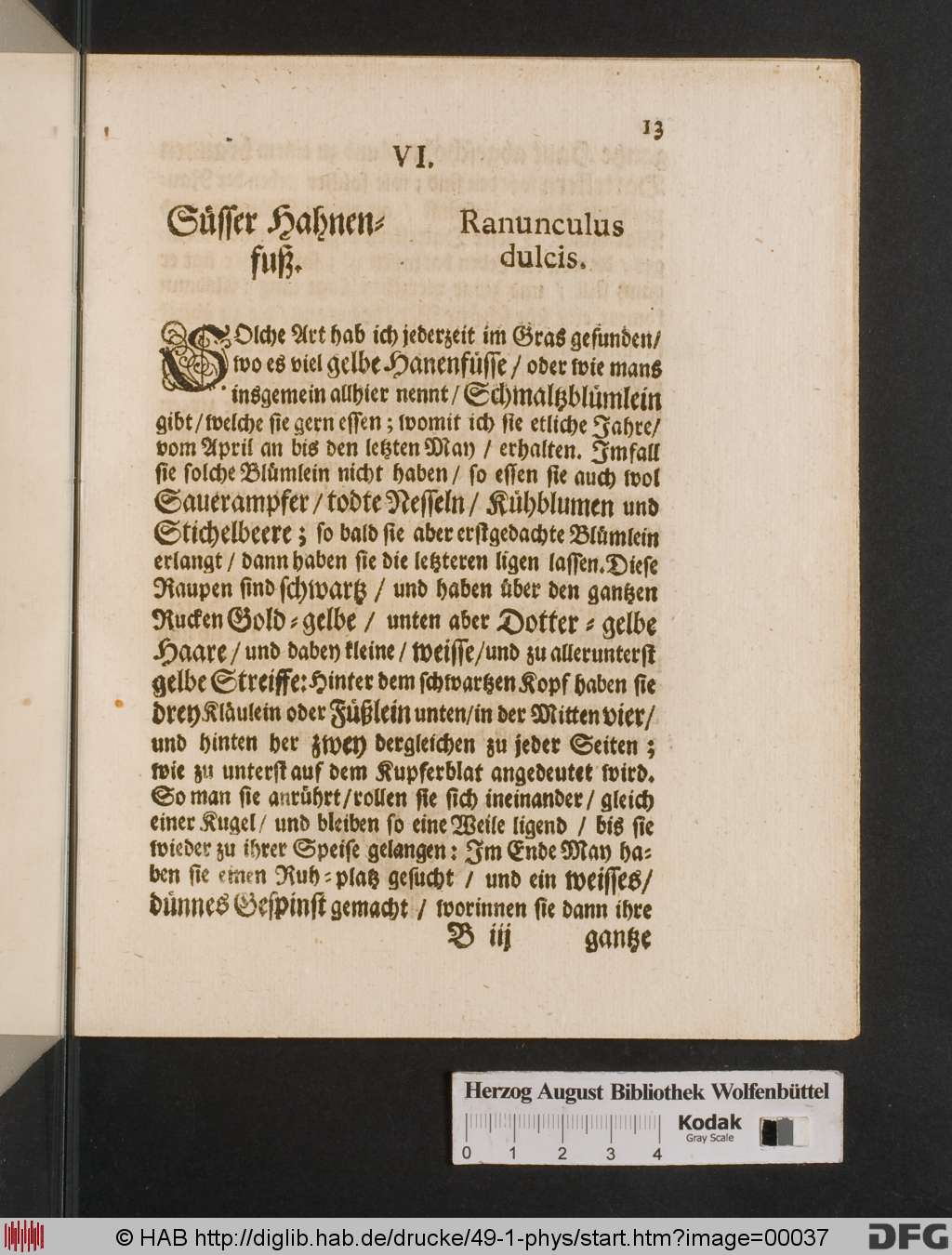 http://diglib.hab.de/drucke/49-1-phys/00037.jpg
