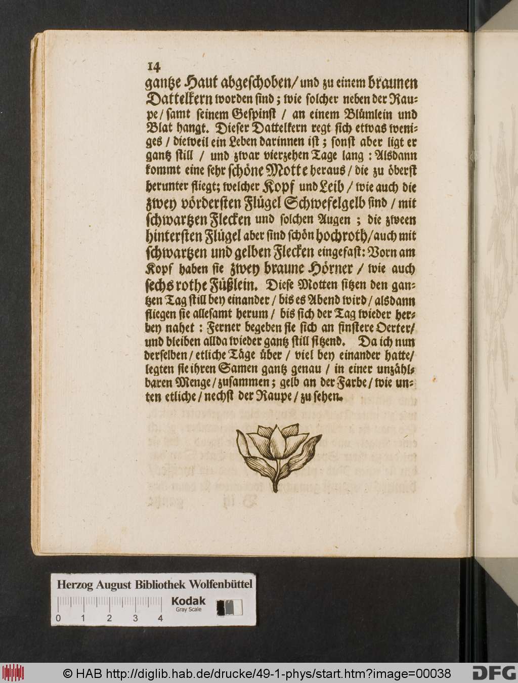 http://diglib.hab.de/drucke/49-1-phys/00038.jpg