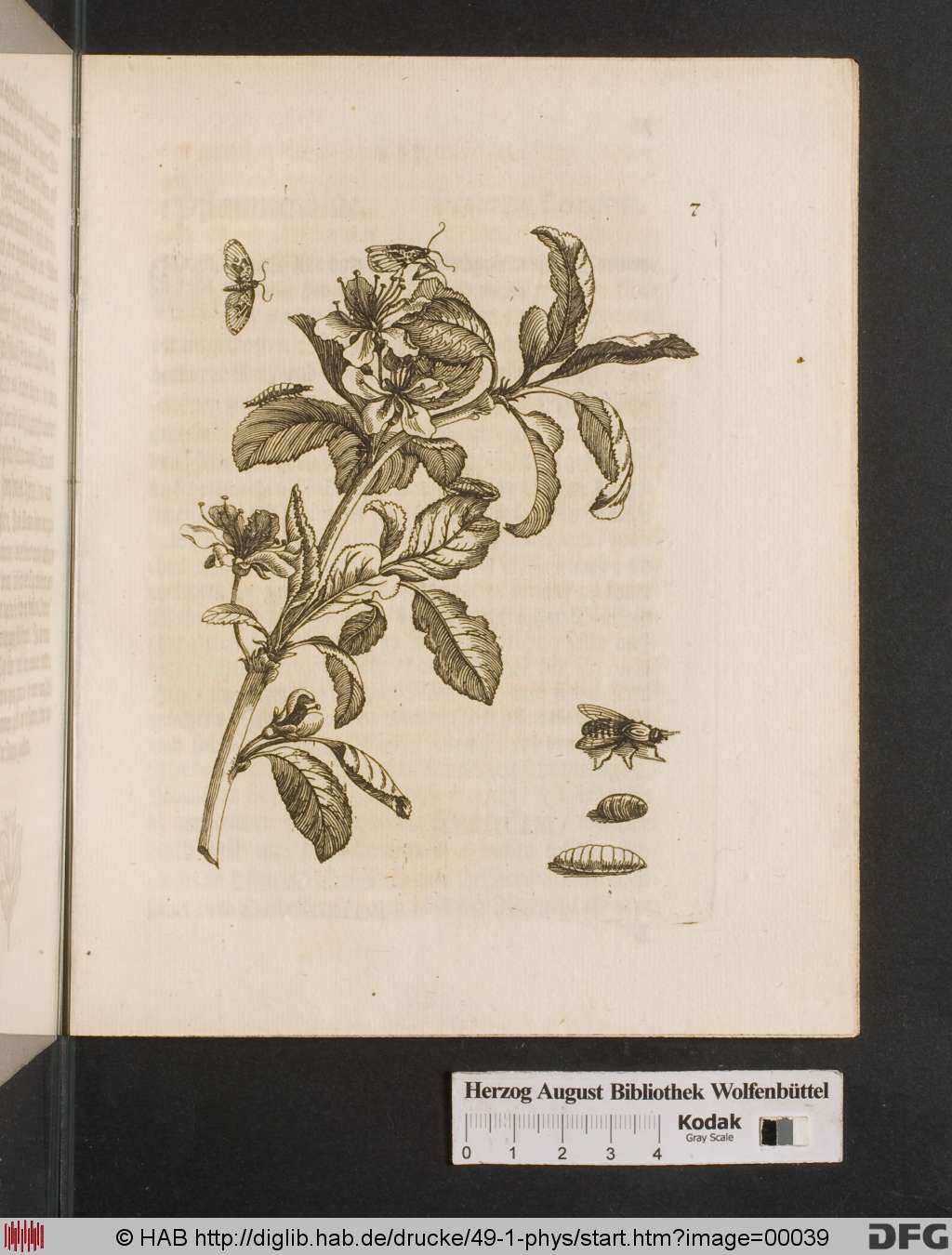 http://diglib.hab.de/drucke/49-1-phys/00039.jpg
