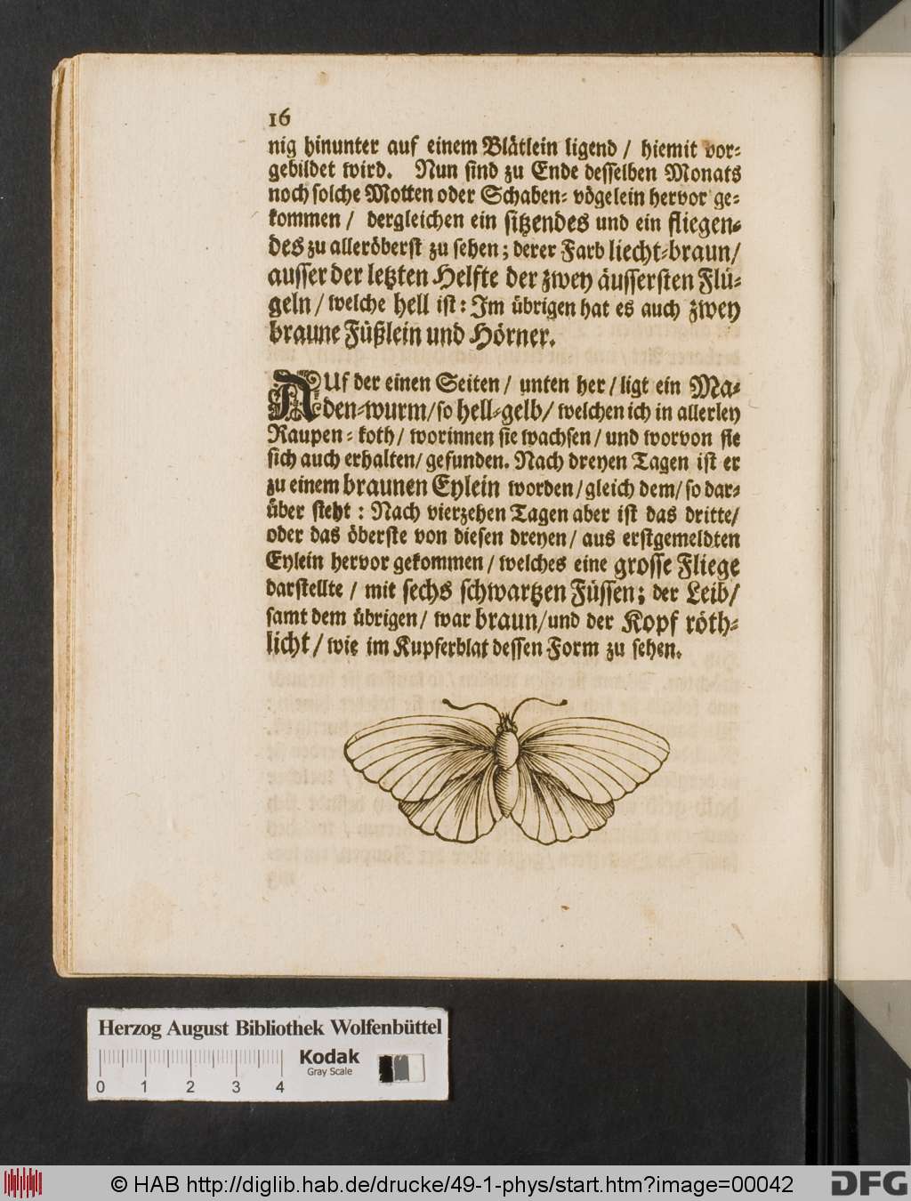 http://diglib.hab.de/drucke/49-1-phys/00042.jpg