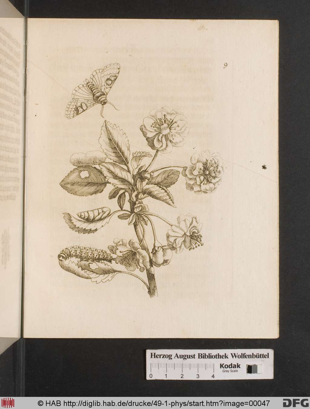 http://diglib.hab.de/drucke/49-1-phys/00047.jpg