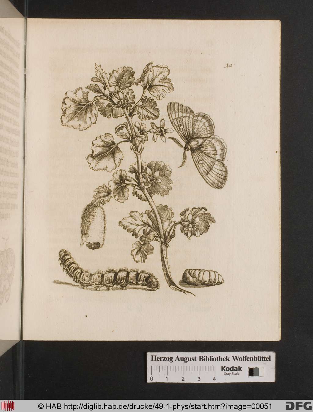 http://diglib.hab.de/drucke/49-1-phys/00051.jpg