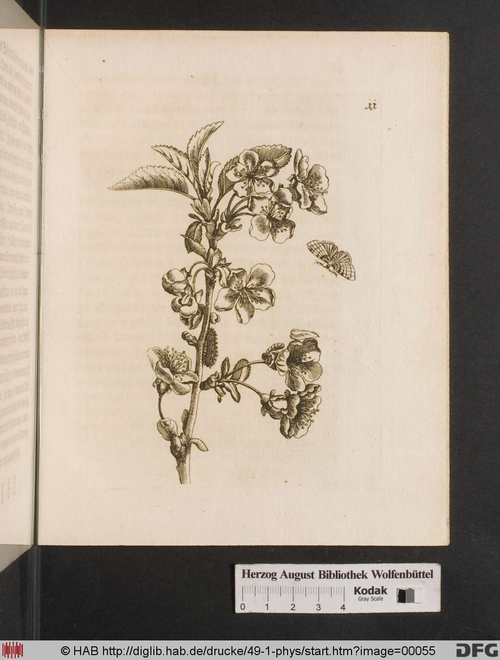 http://diglib.hab.de/drucke/49-1-phys/00055.jpg