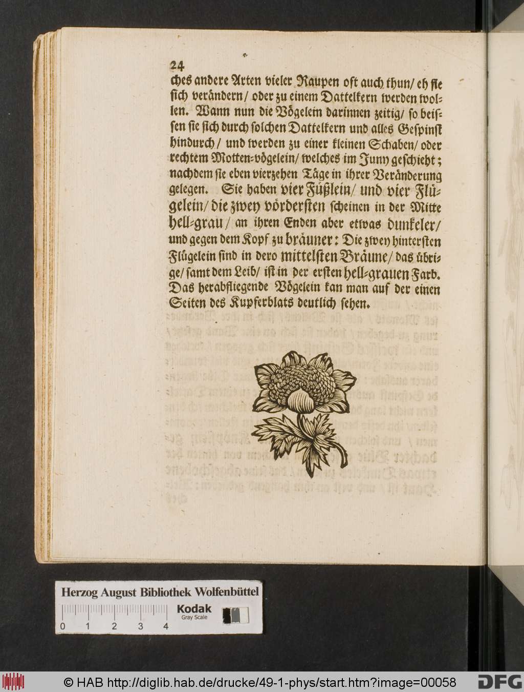 http://diglib.hab.de/drucke/49-1-phys/00058.jpg