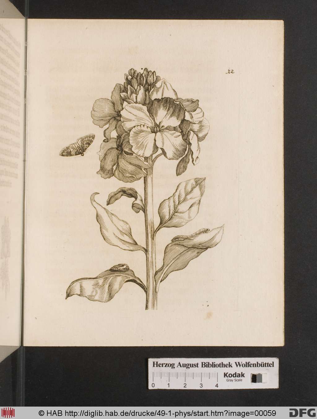 http://diglib.hab.de/drucke/49-1-phys/00059.jpg