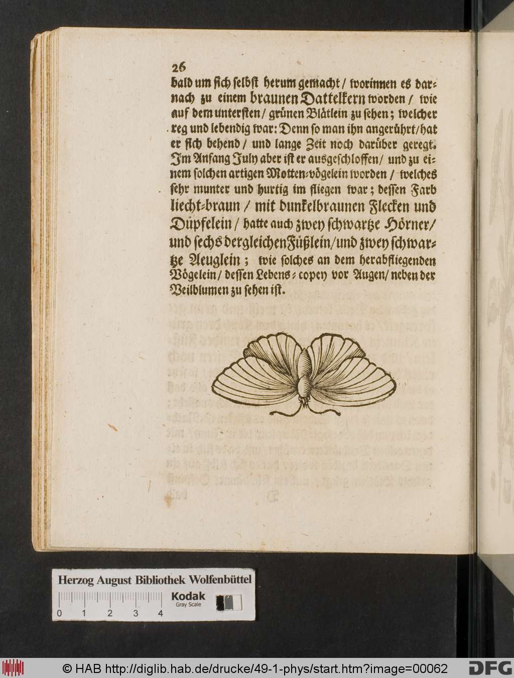 http://diglib.hab.de/drucke/49-1-phys/00062.jpg