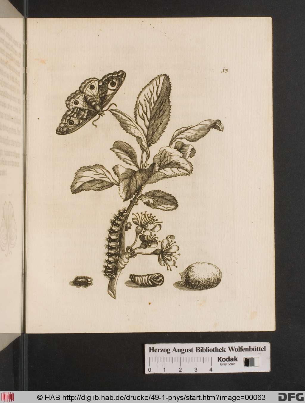 http://diglib.hab.de/drucke/49-1-phys/00063.jpg