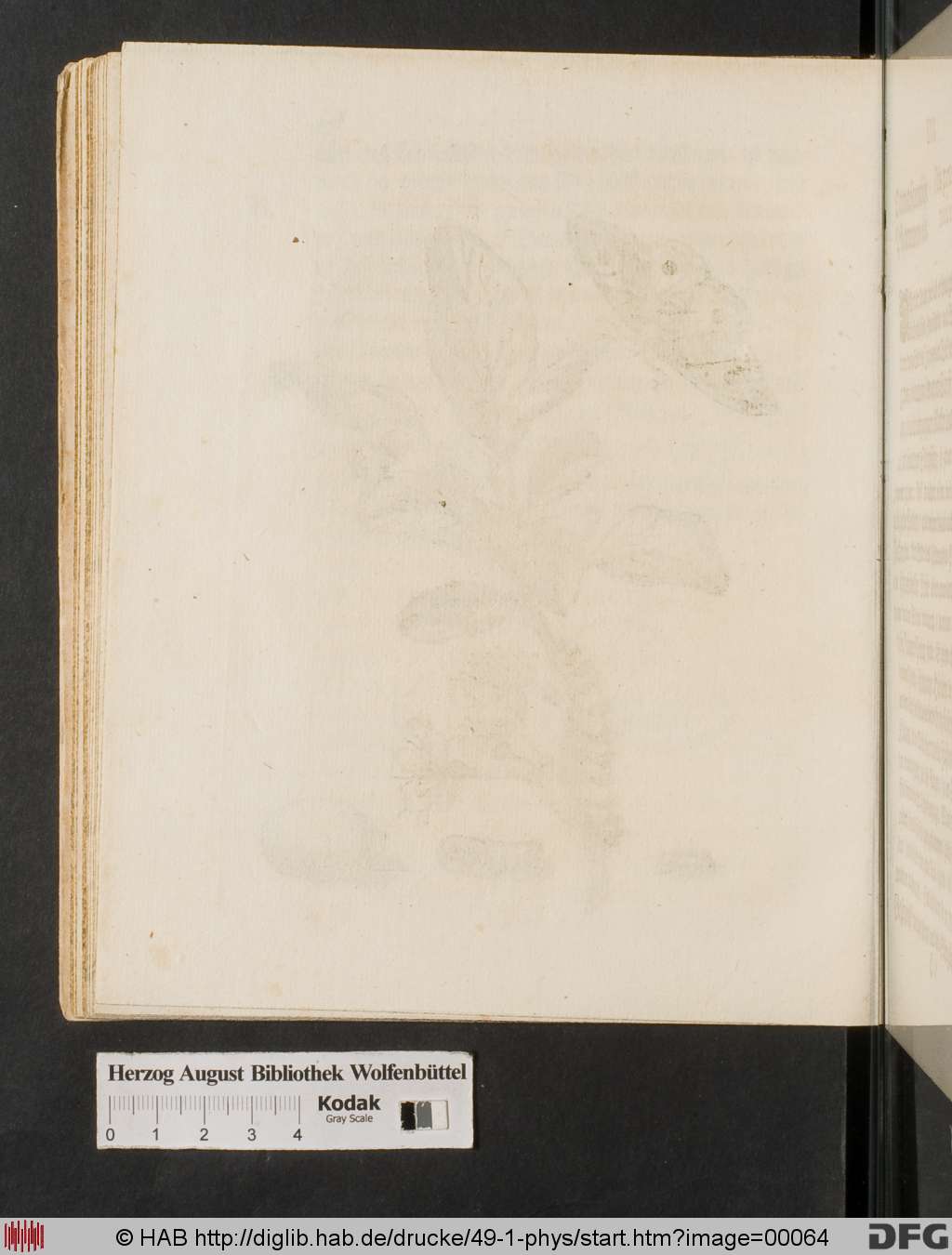http://diglib.hab.de/drucke/49-1-phys/00064.jpg