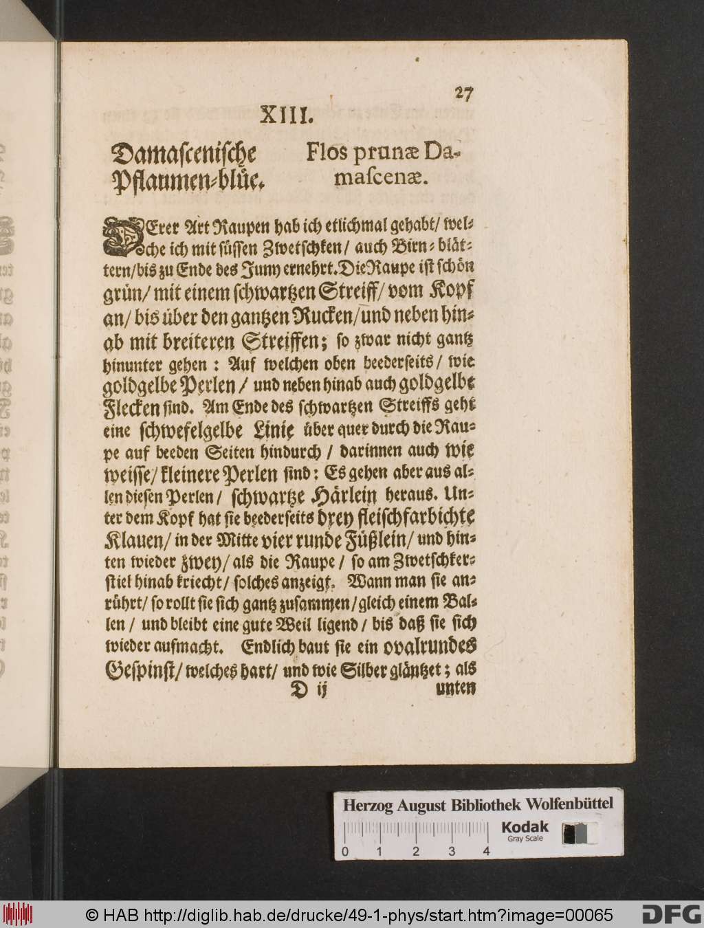 http://diglib.hab.de/drucke/49-1-phys/00065.jpg